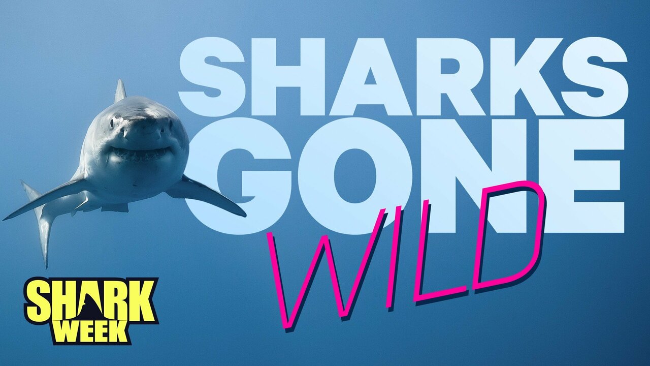 Sharks Gone Wild: Disturbing Scenes