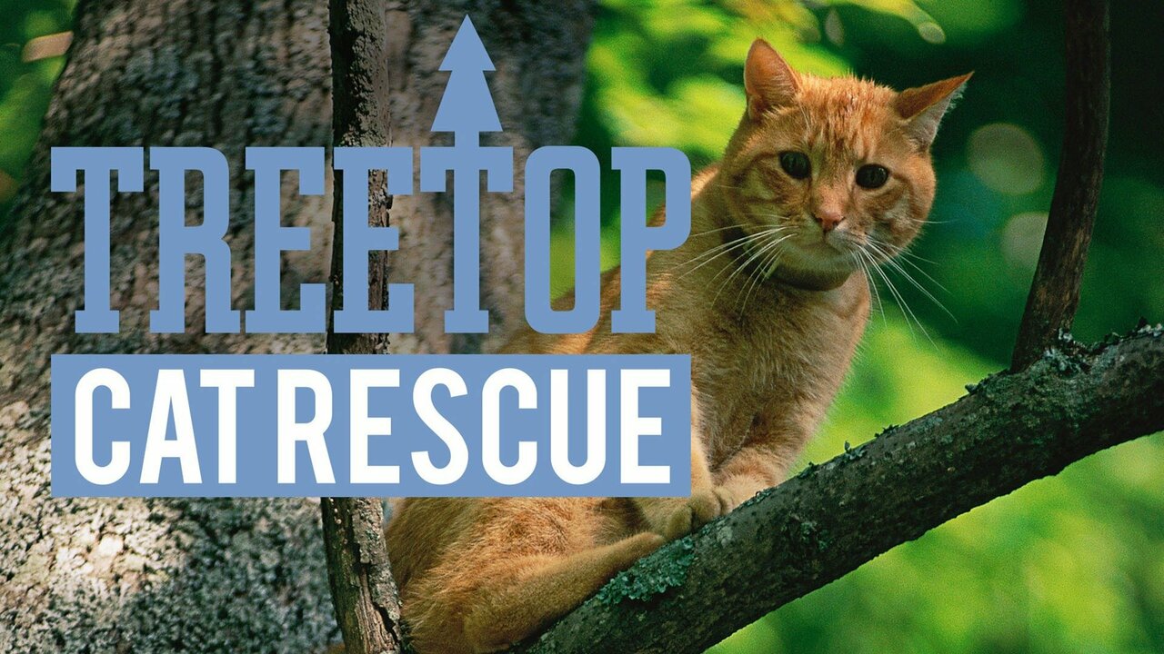 Treetop Cat Rescue: Out on a Limb