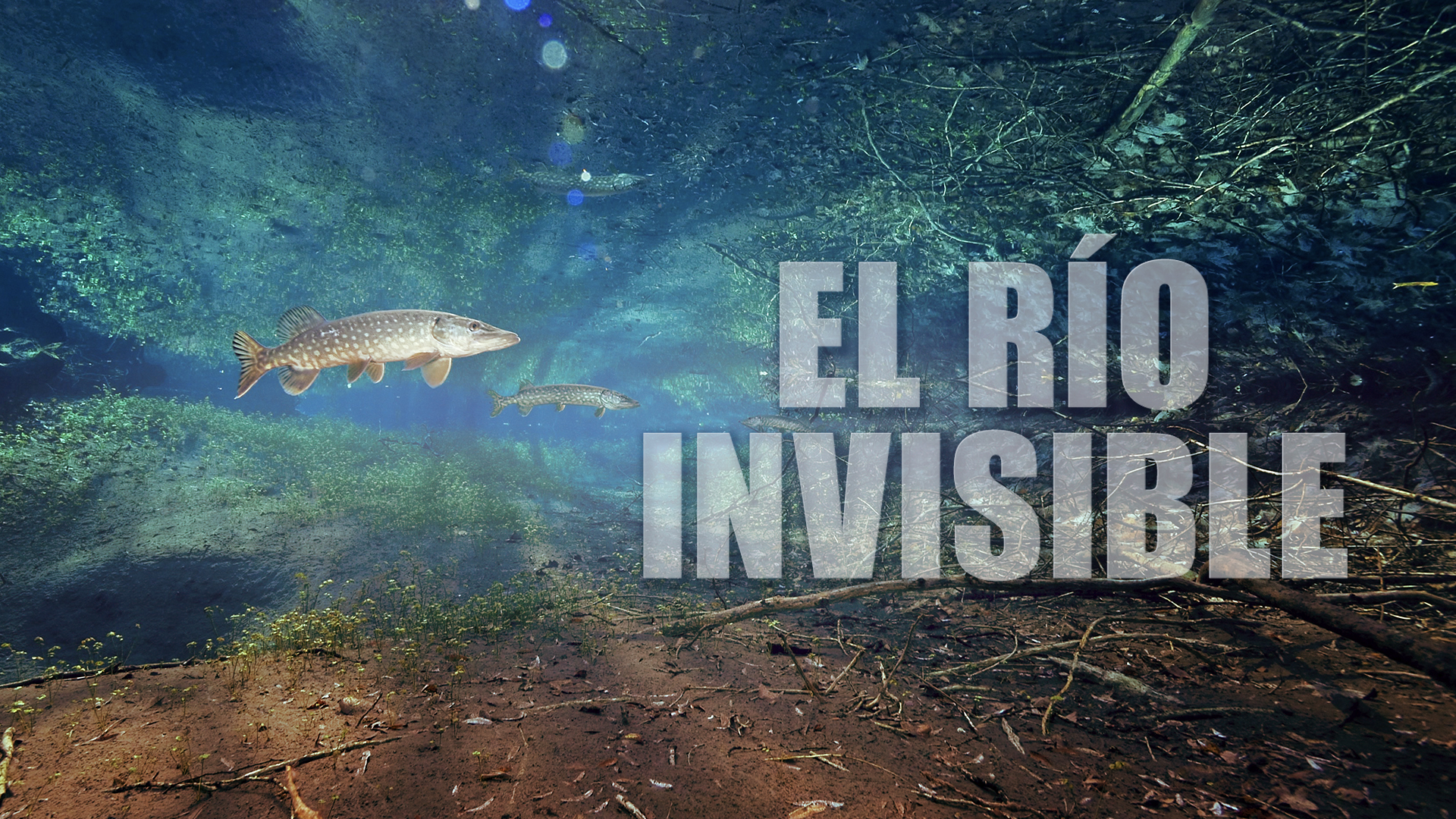 El río invisible
