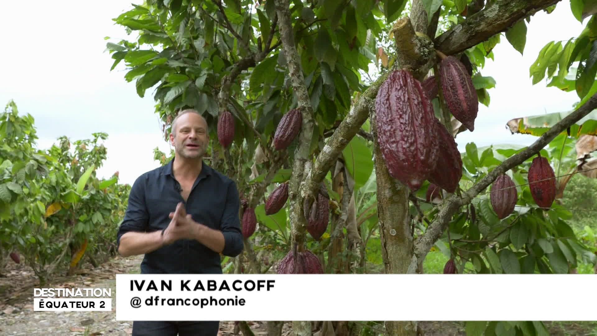 Destination francophonie