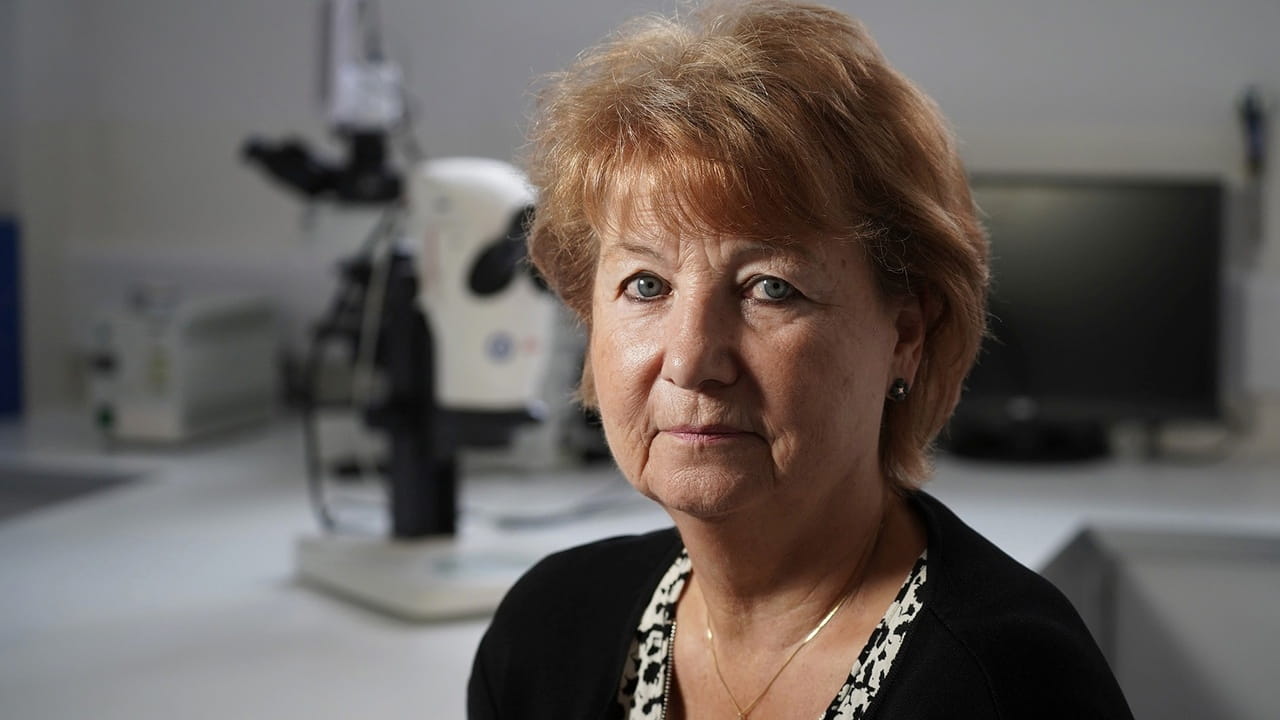 The Truth About My Murder