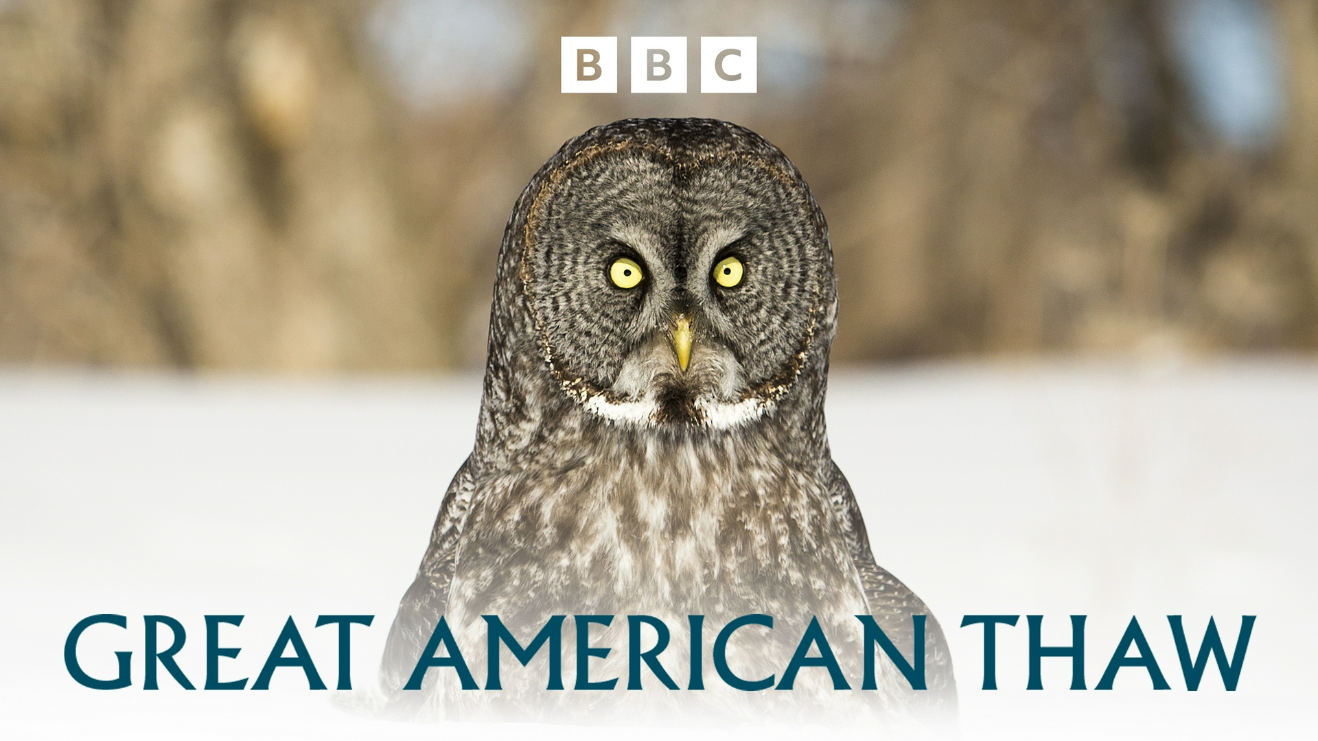 La grande fonte des glaces Yellowstone