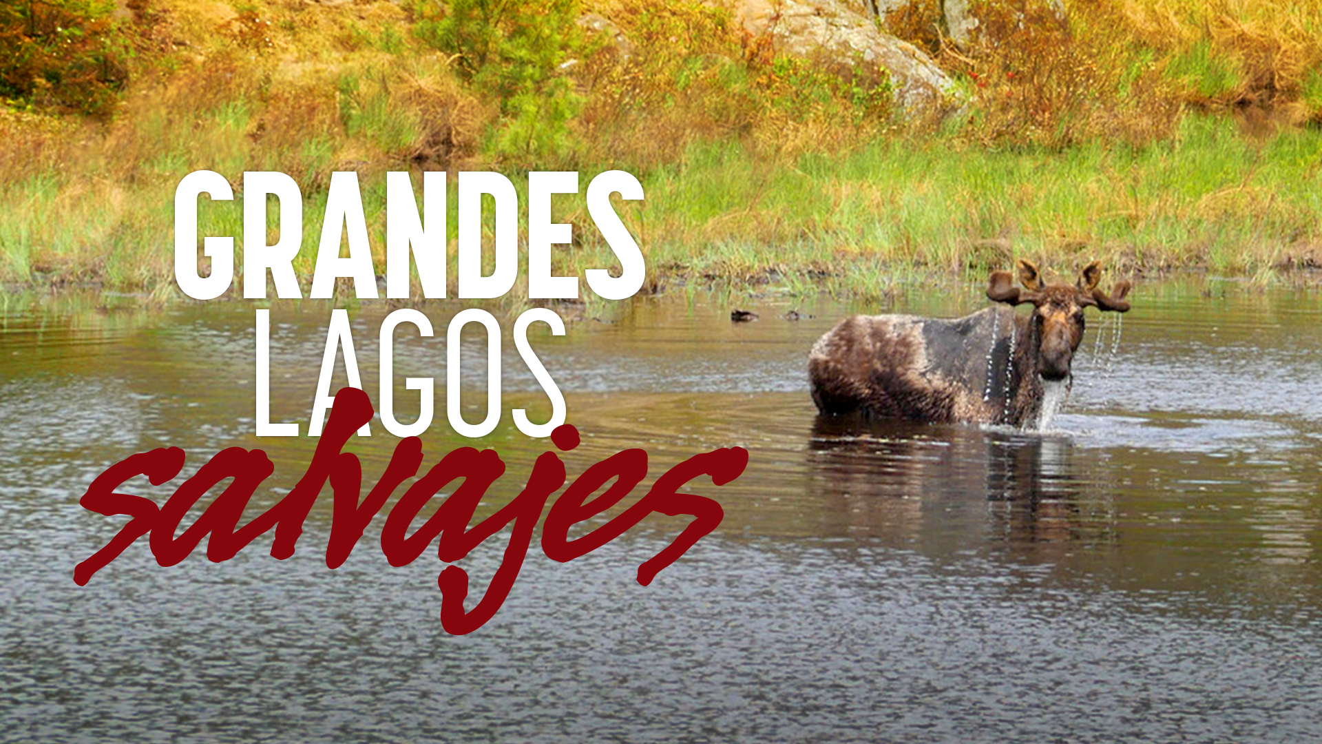 Grandes Lagos Salvajes