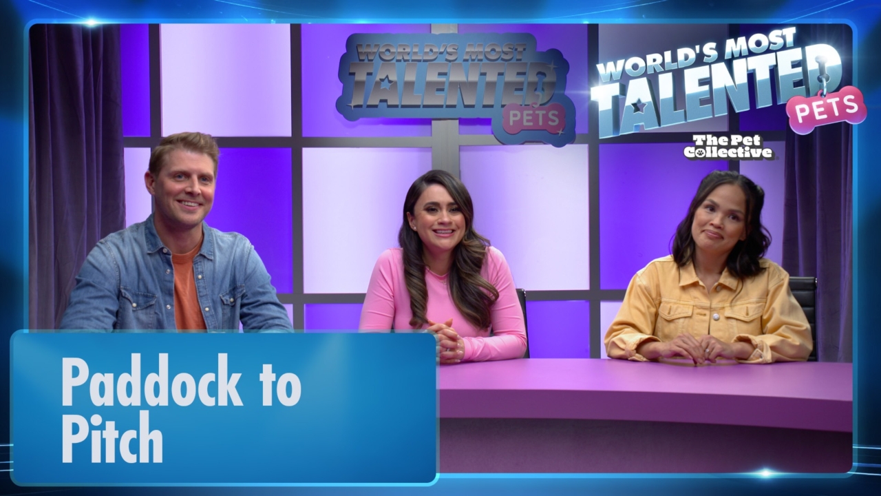 World's Most Talented Pets | Paddock to Pitch