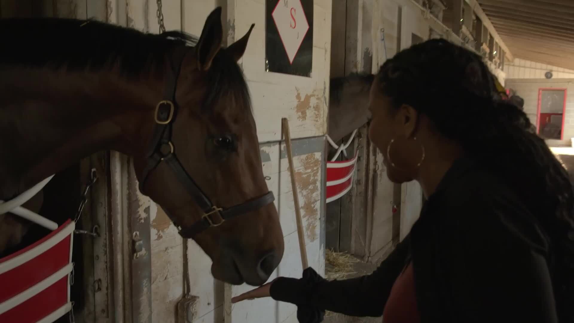 One Perfect Day in Kentucky