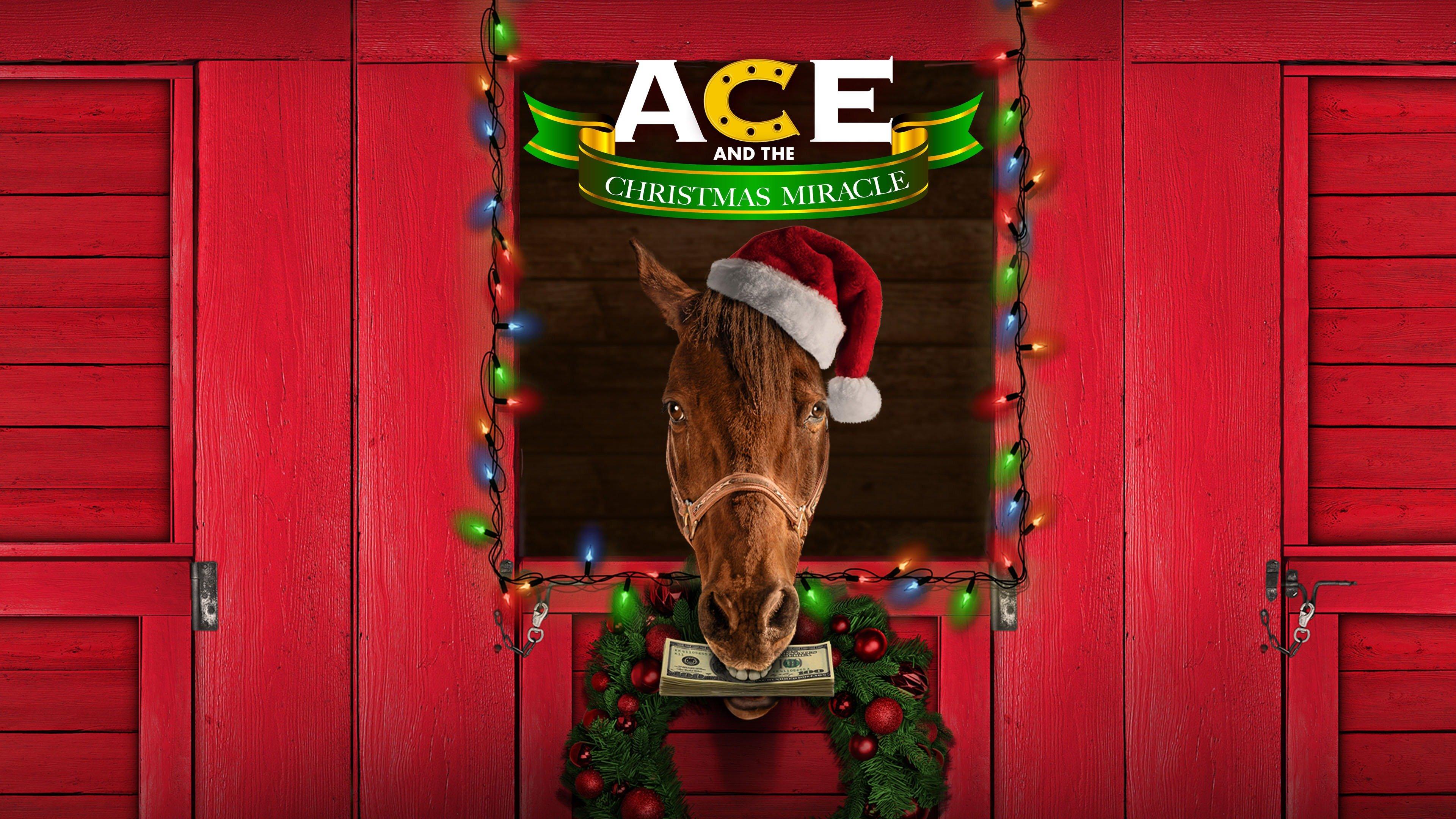 Ace & the Christmas Miracle