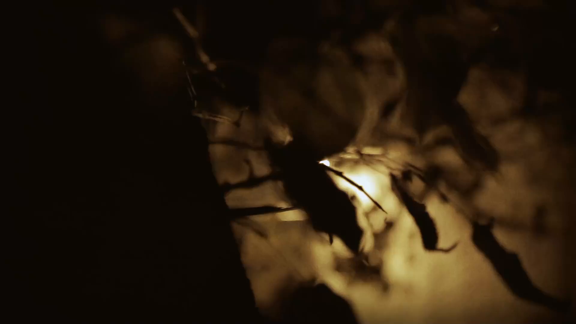 La science de l'étrange : Aux frontières de l'au-delà