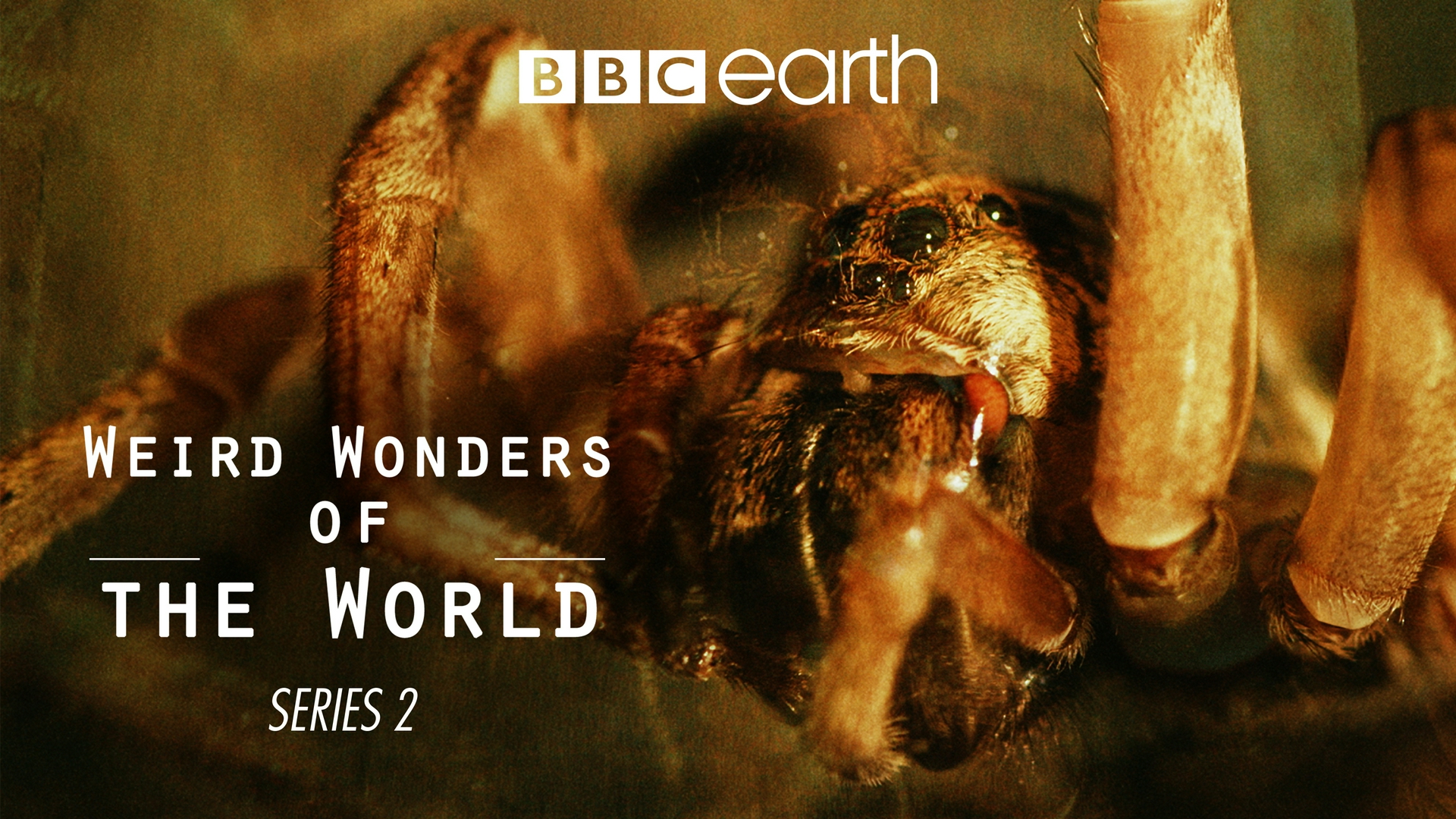 Wunder der Wissenschaft Riesenwelle und optische Täuschung