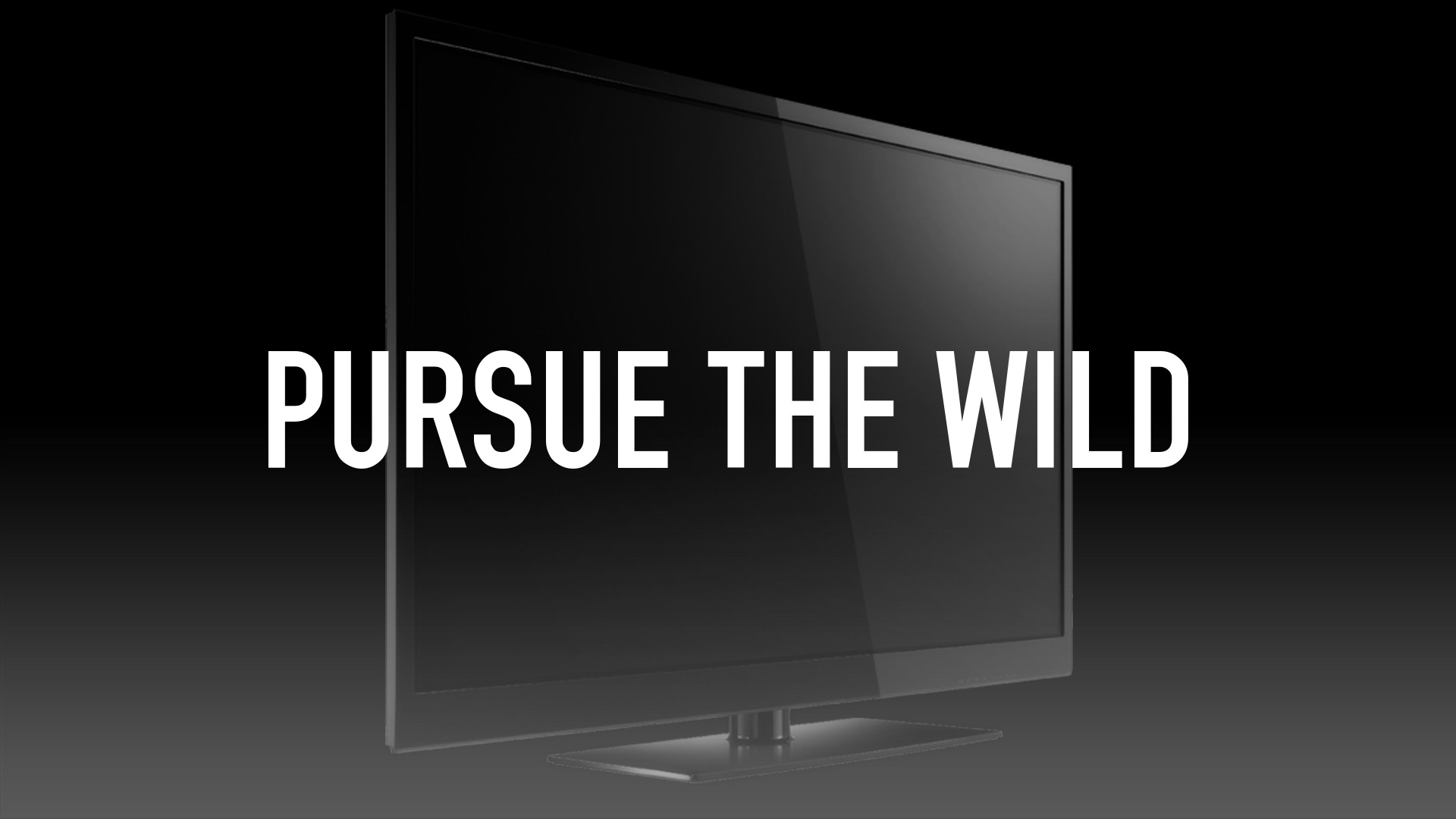 Pursue the Wild