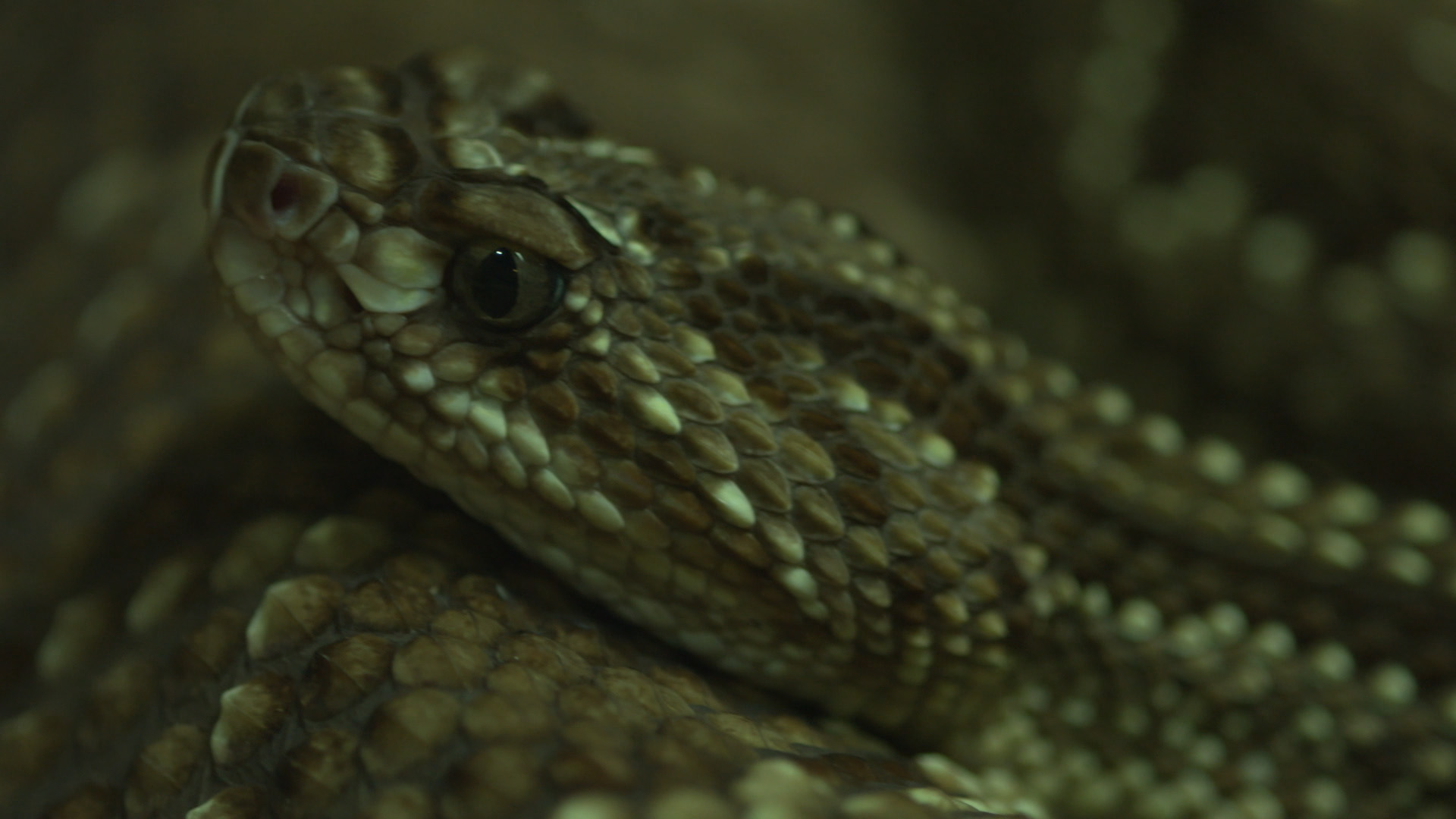 Attaquer et défendre