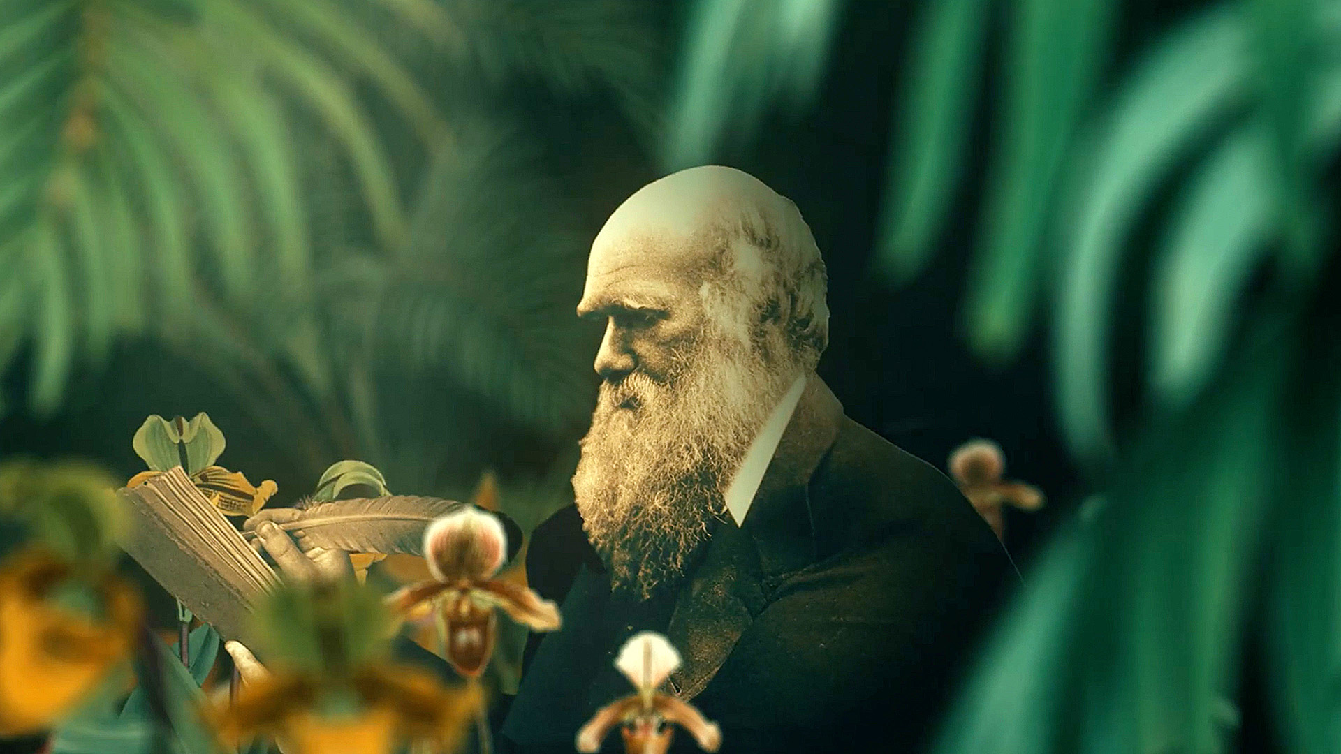 Connections mit James Burke