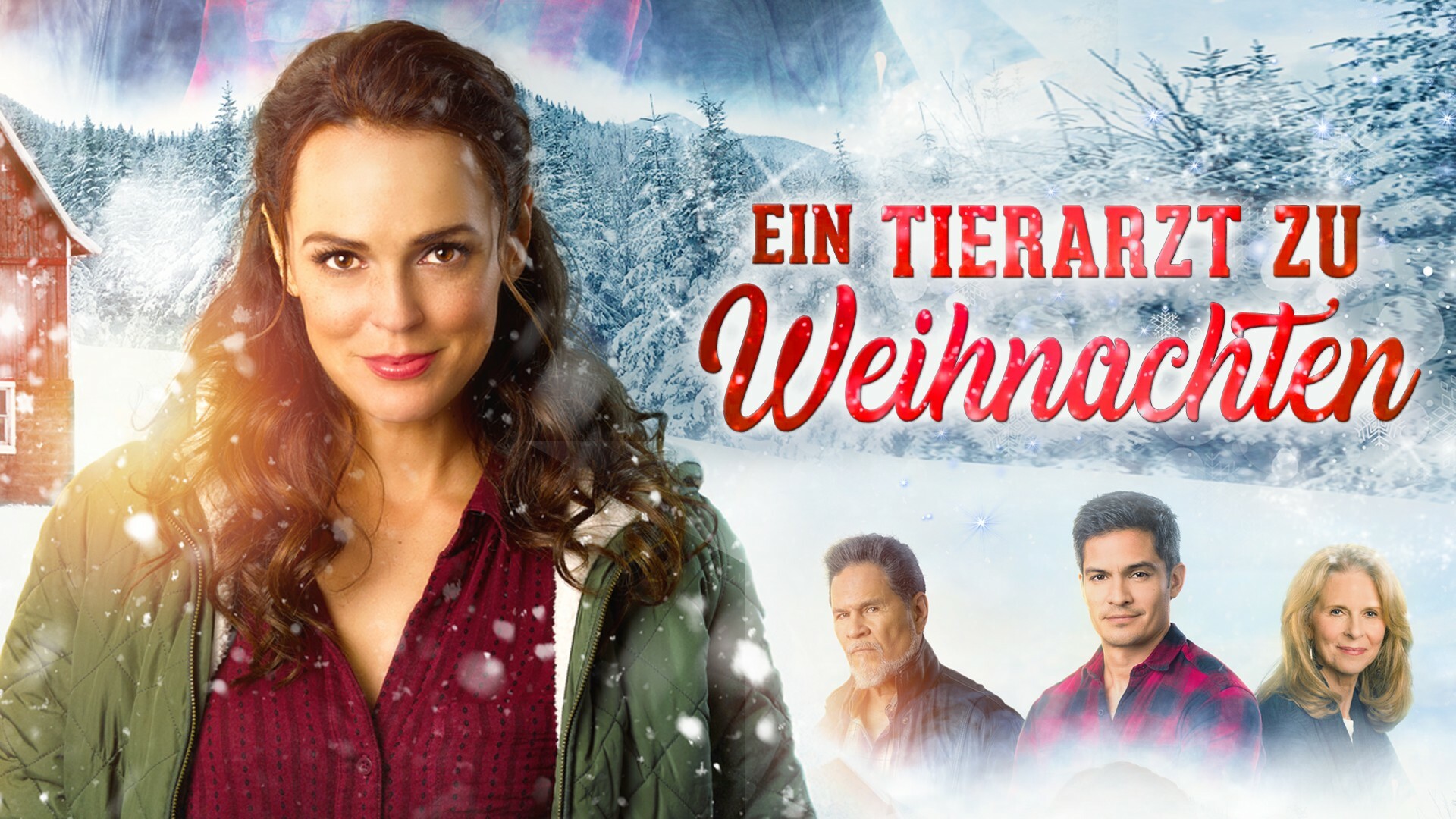 Ein Tierarzt zu Weihnachten