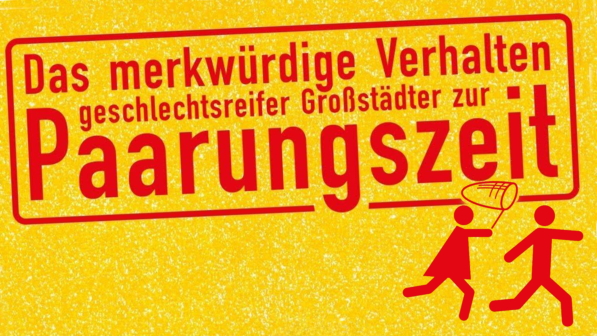 Das merkwürdige Verhalten geschlechtsreifer Großstädter zur Paarungszeit