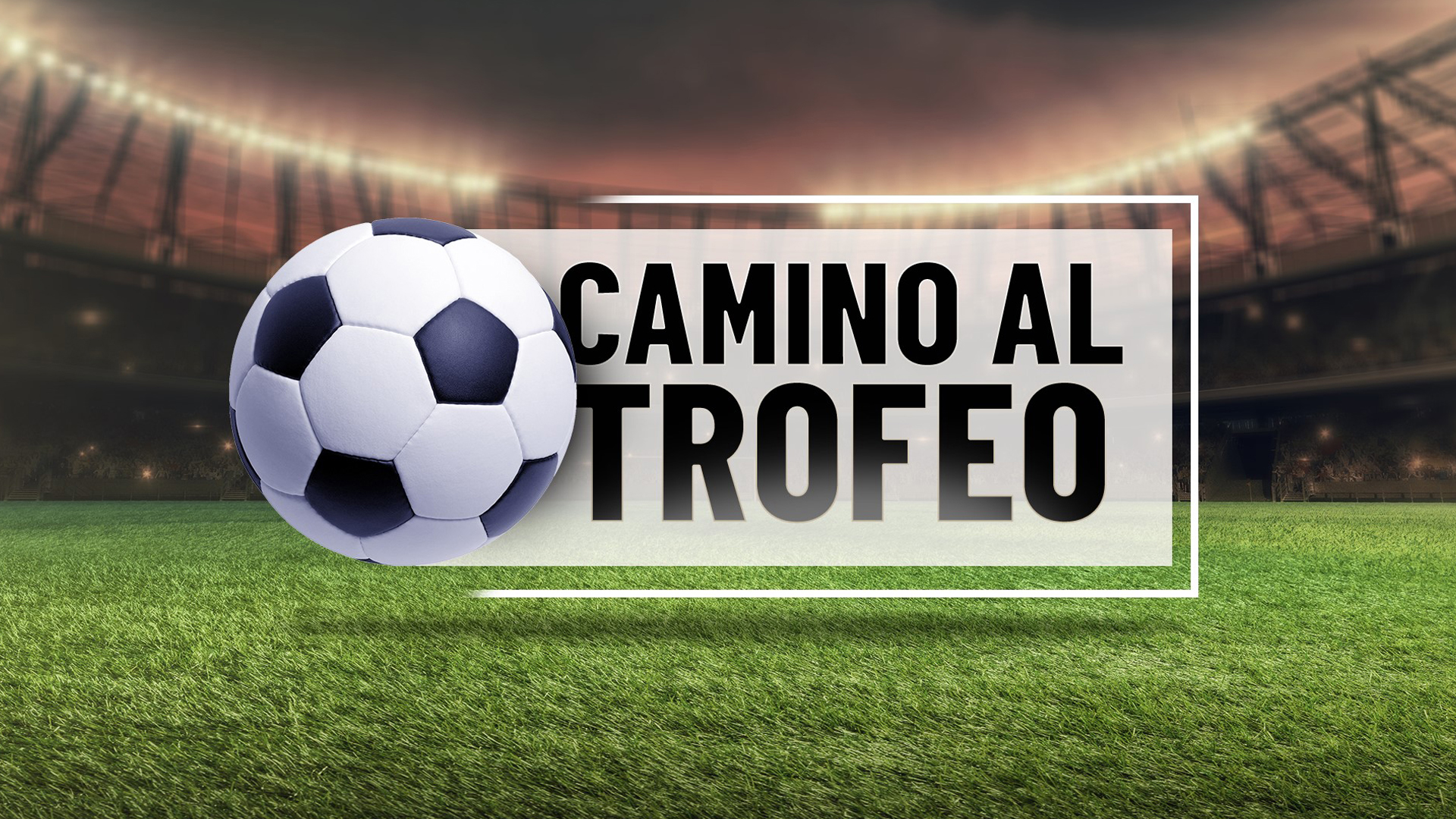 Camino al trofeo