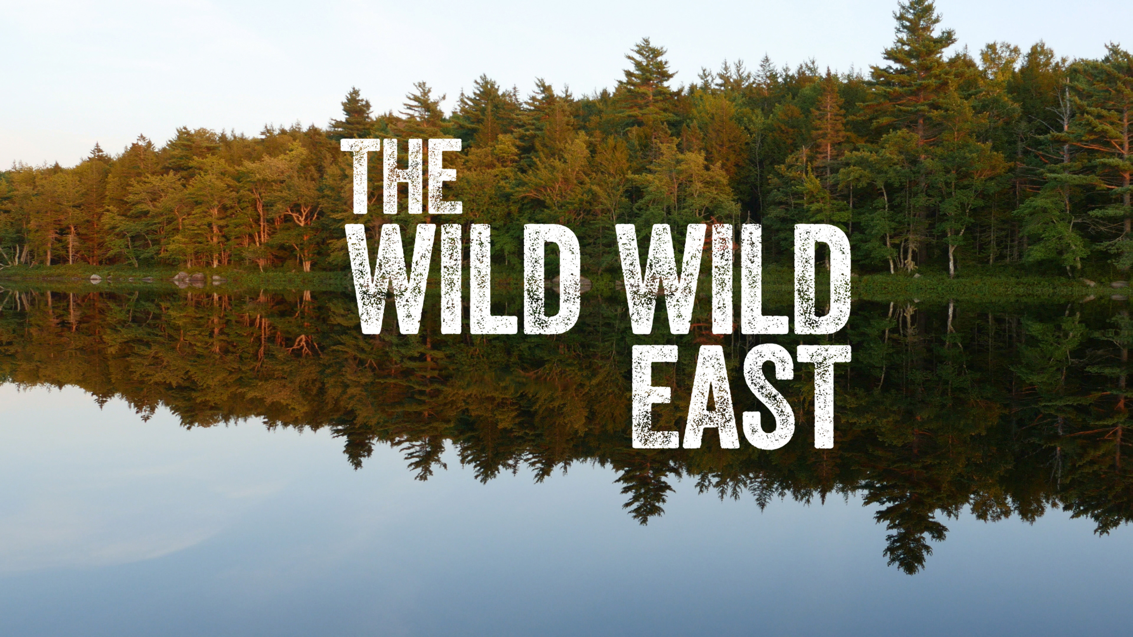 Wild Wild East