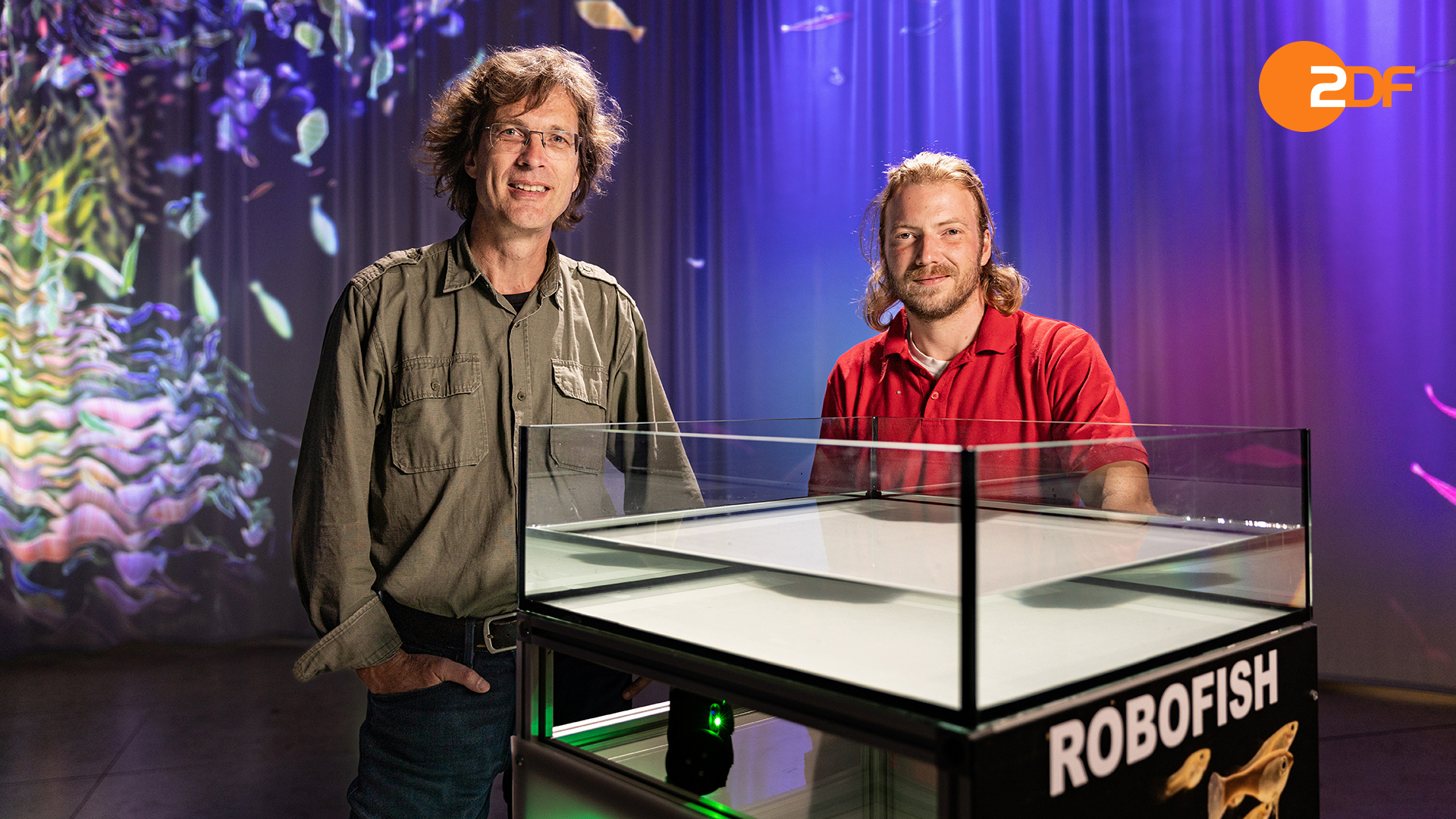 Schlaue Schwärme, Staffel 1