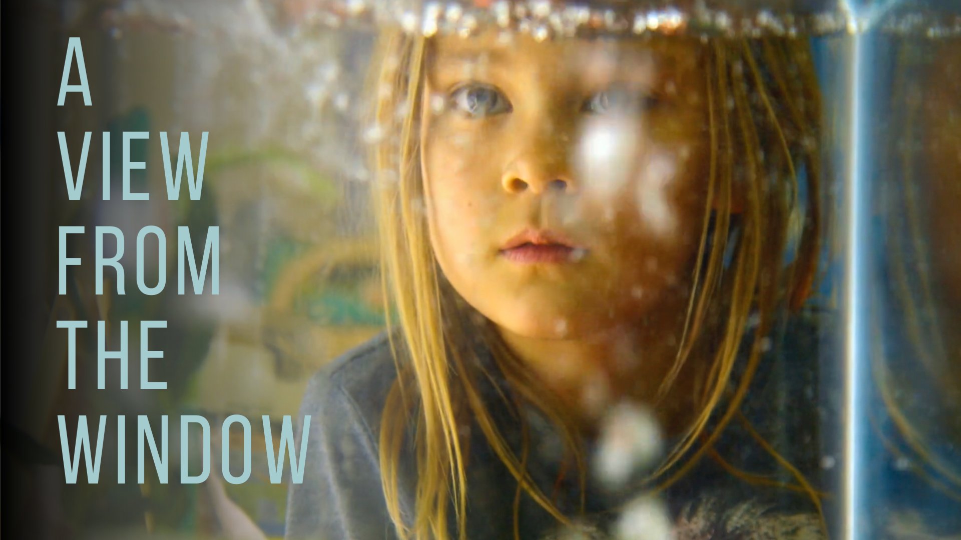 A View From The Window