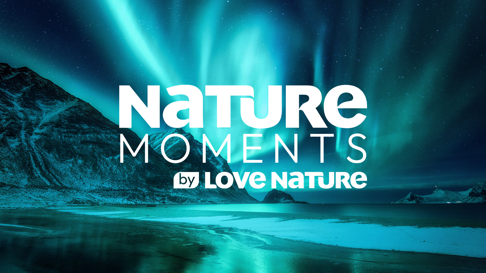Nature Moments