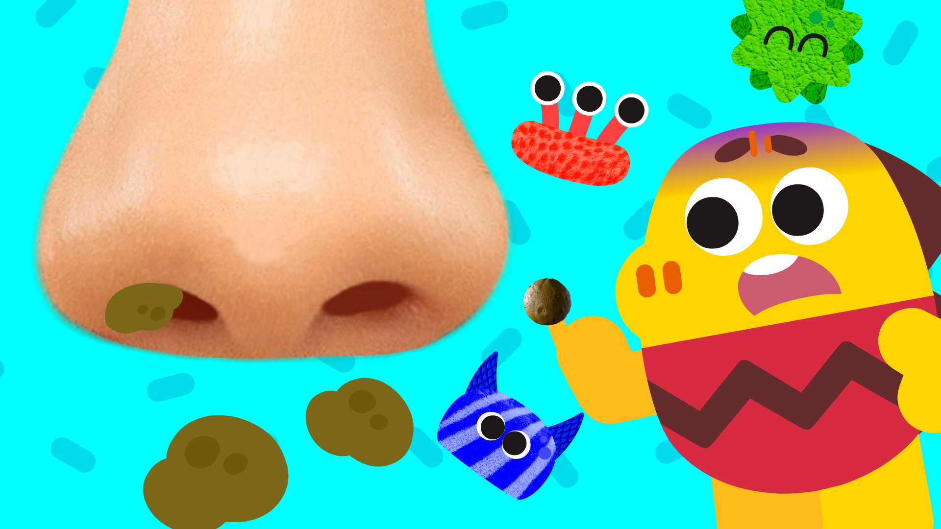 코코비 스페셜 인기 동요 4