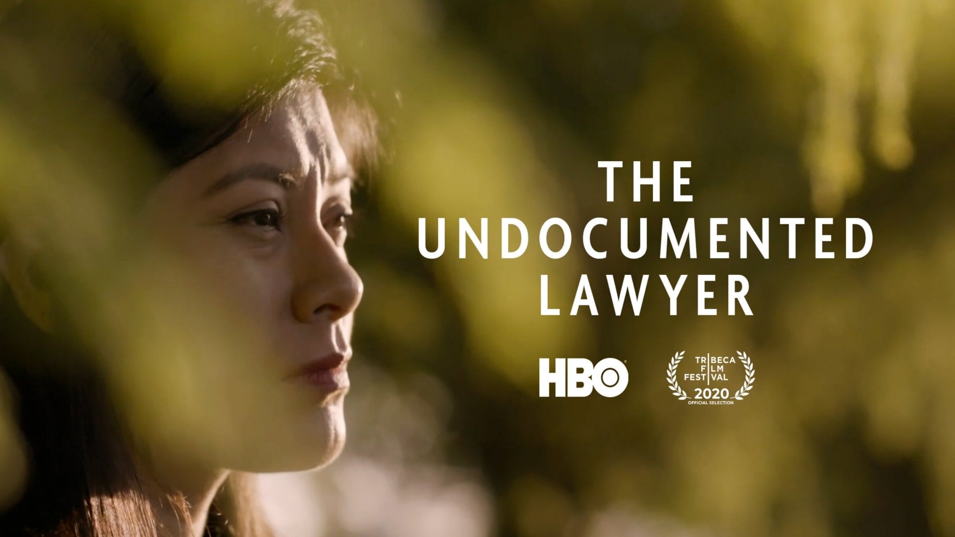 The Undocumented Lawyer