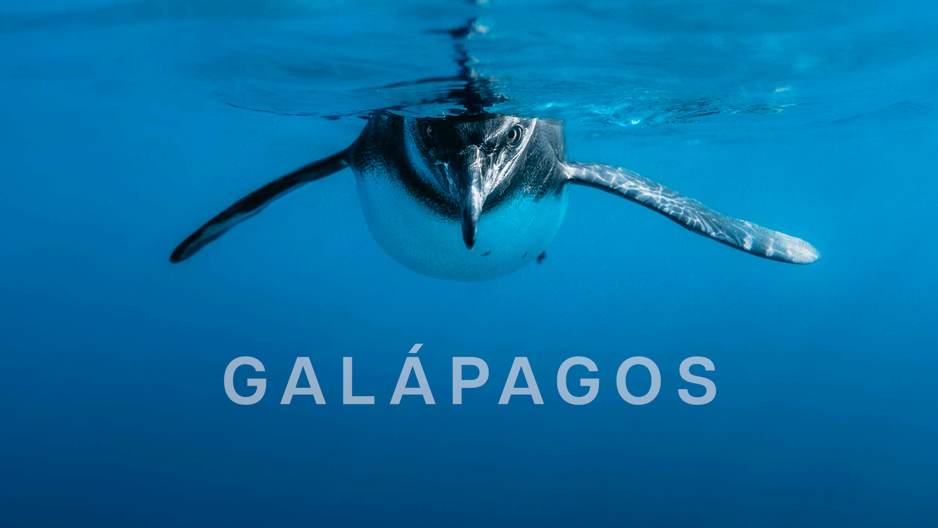 Galápagos