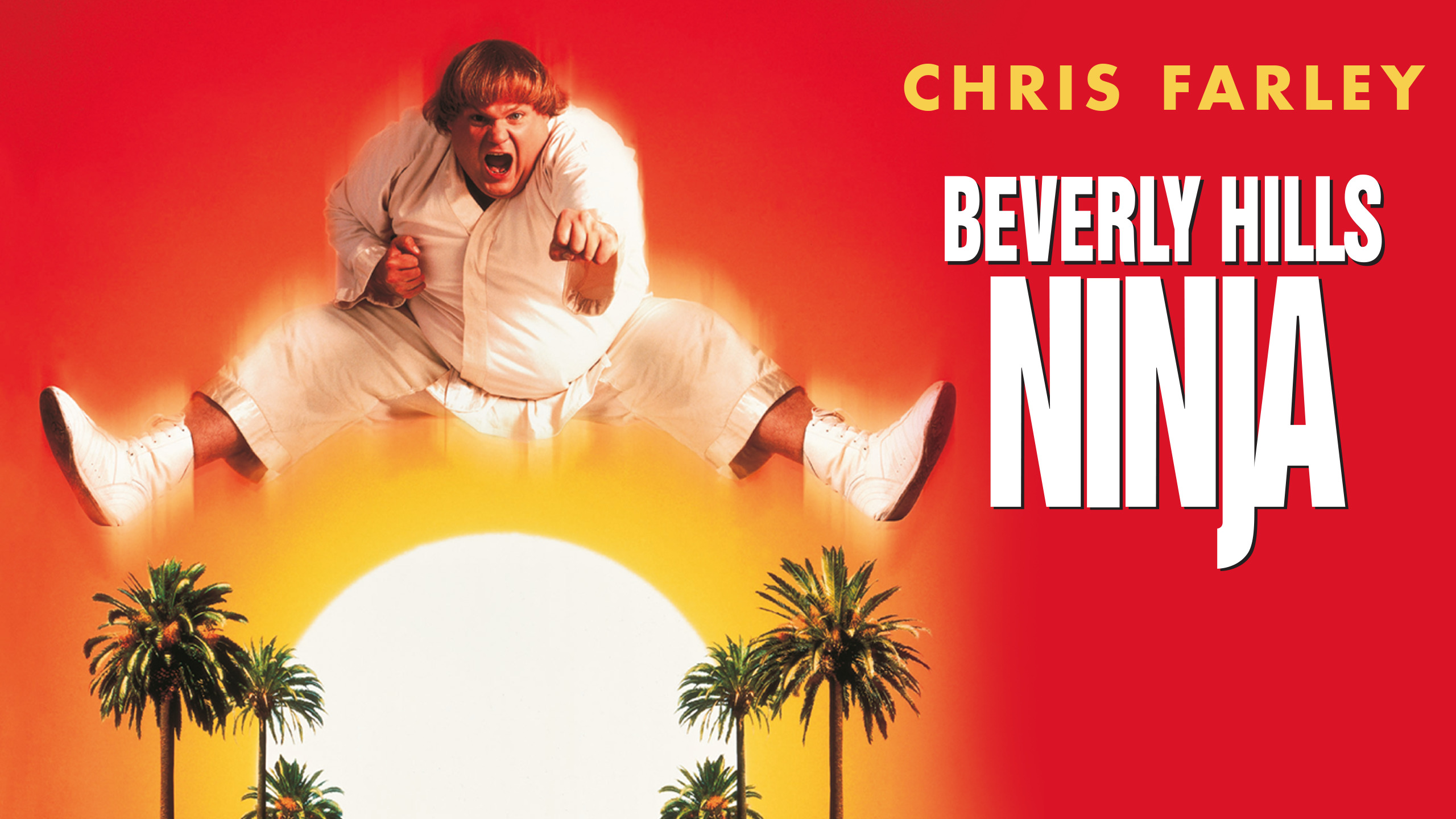 Beverly Hills Ninja