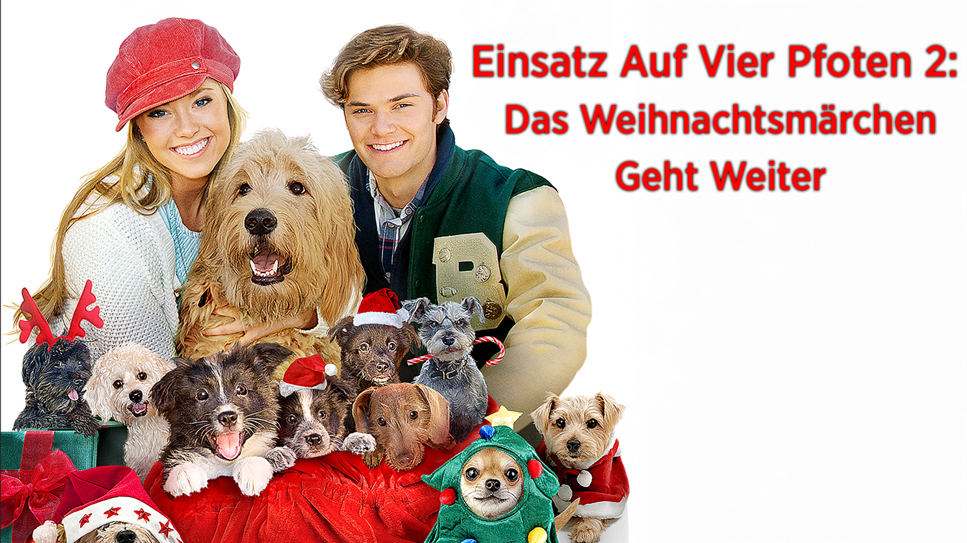 Einsatz auf vier Pfoten 2