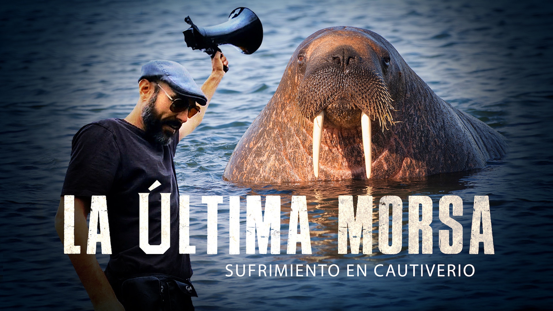 La última morsa: Sufrimiento en cautiverio