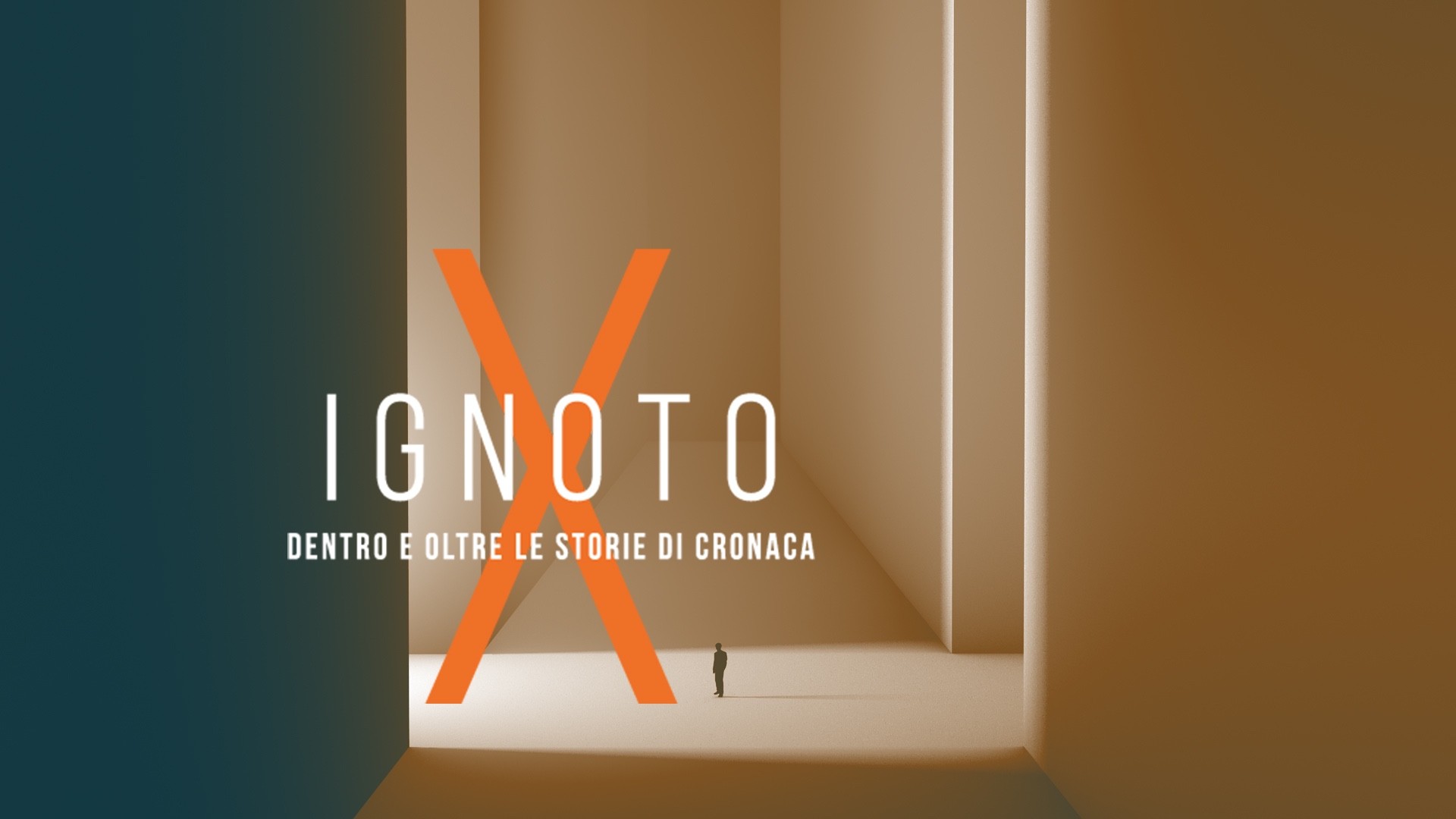 Ignoto X: dentro e oltre le storie di cronaca