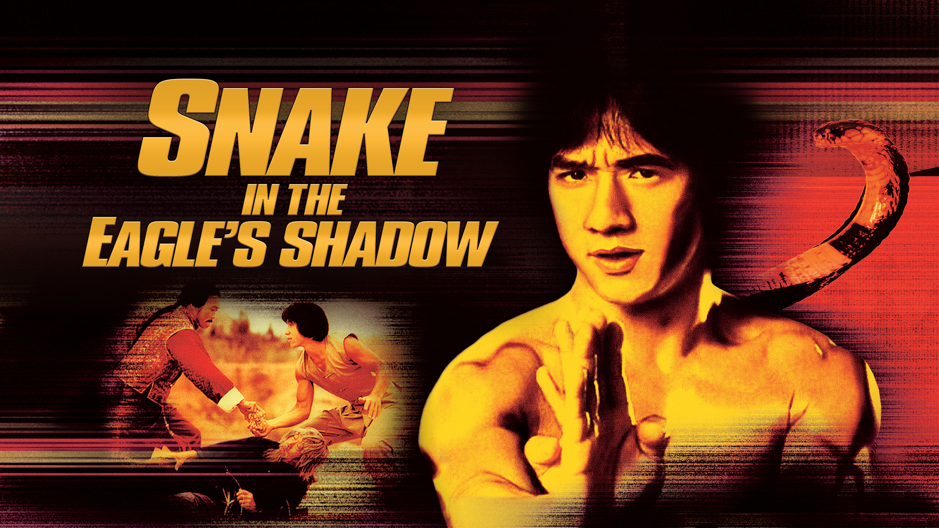 Snake In The Eagle's Shadow