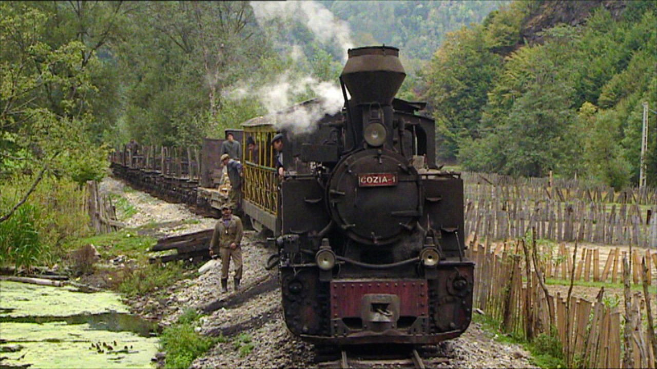 Die Waldbahn der Karpaten