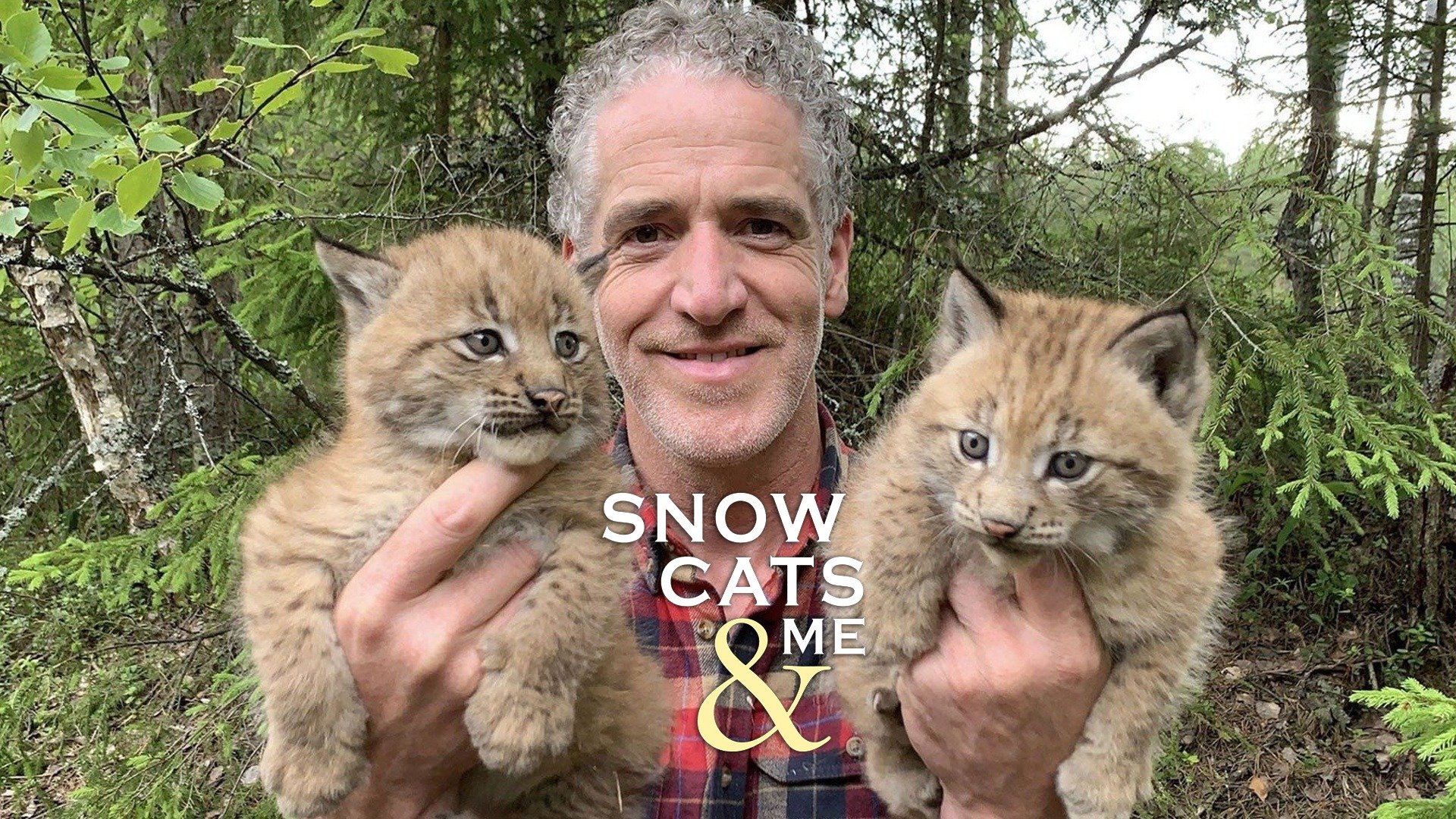 Snow Cats and Me