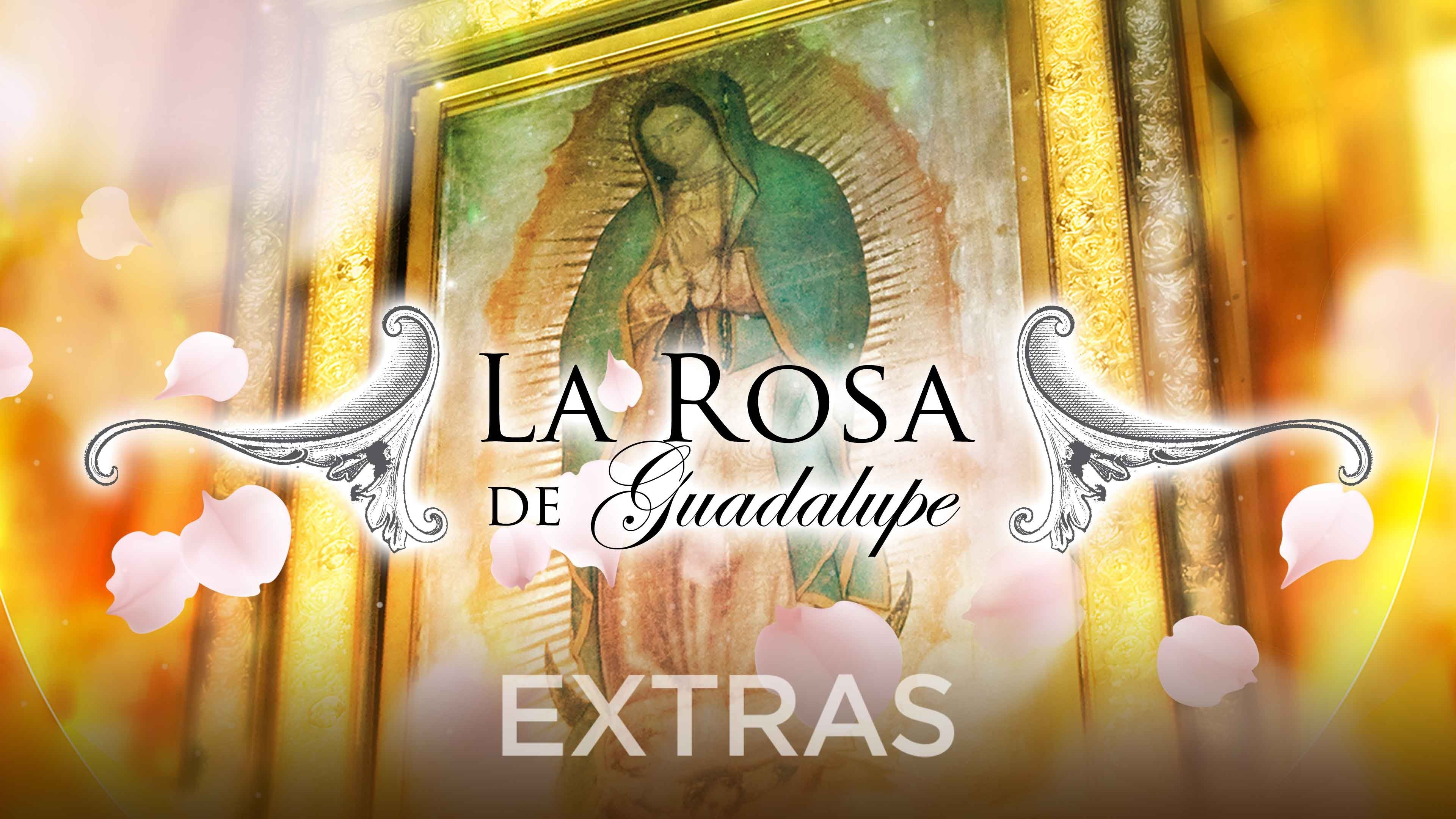 La rosa de Guadalupe: Extras