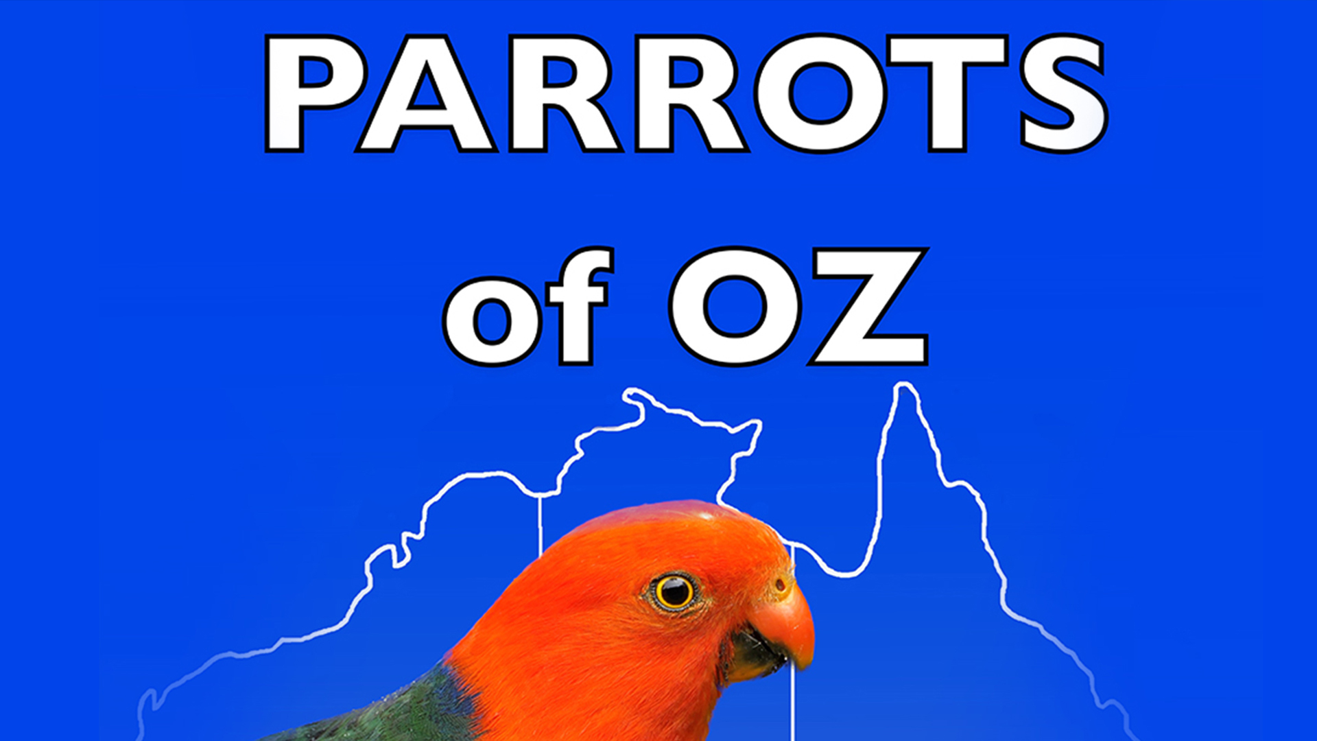 Parrots of Oz