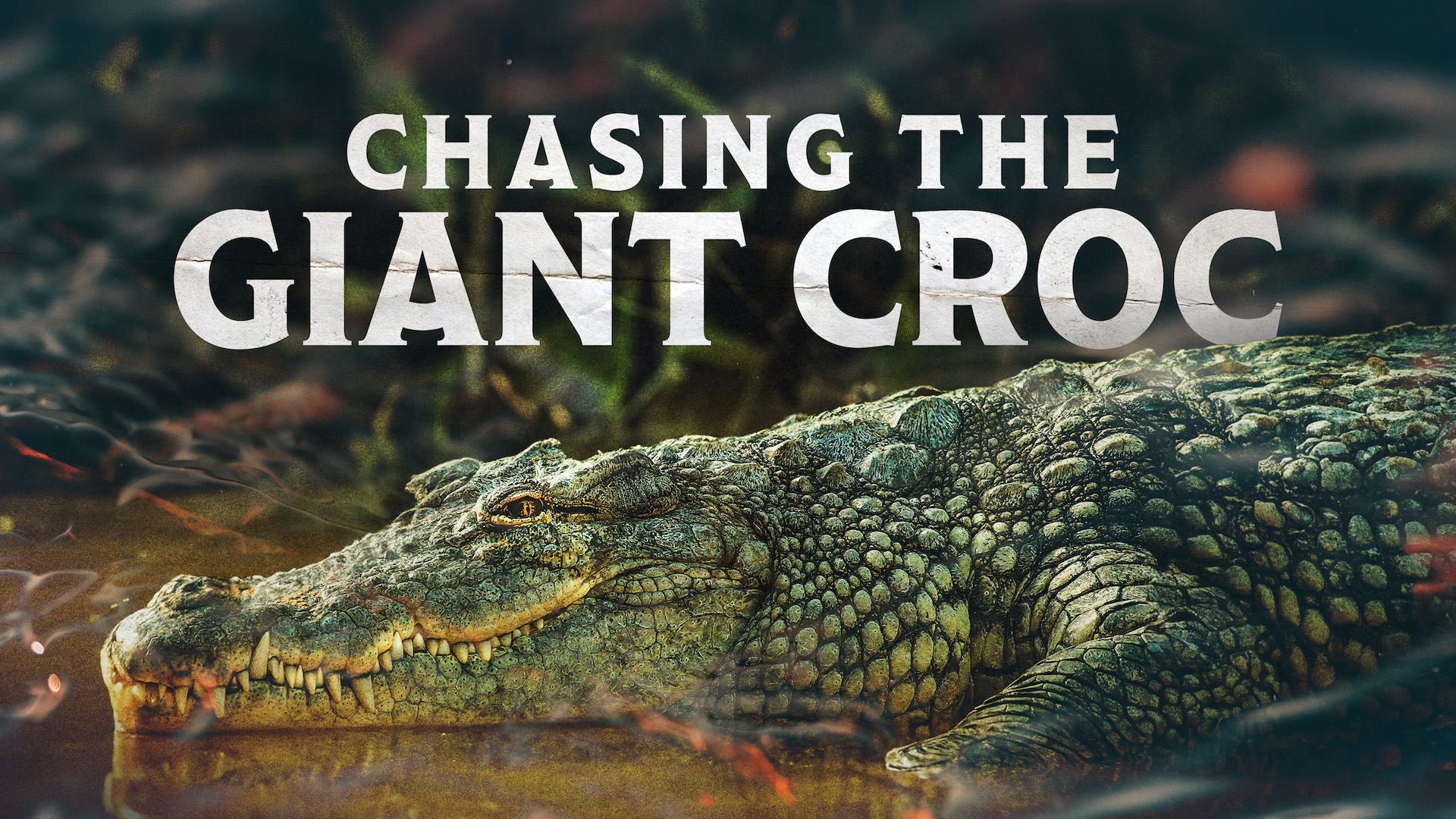 Chasing the Giant Croc