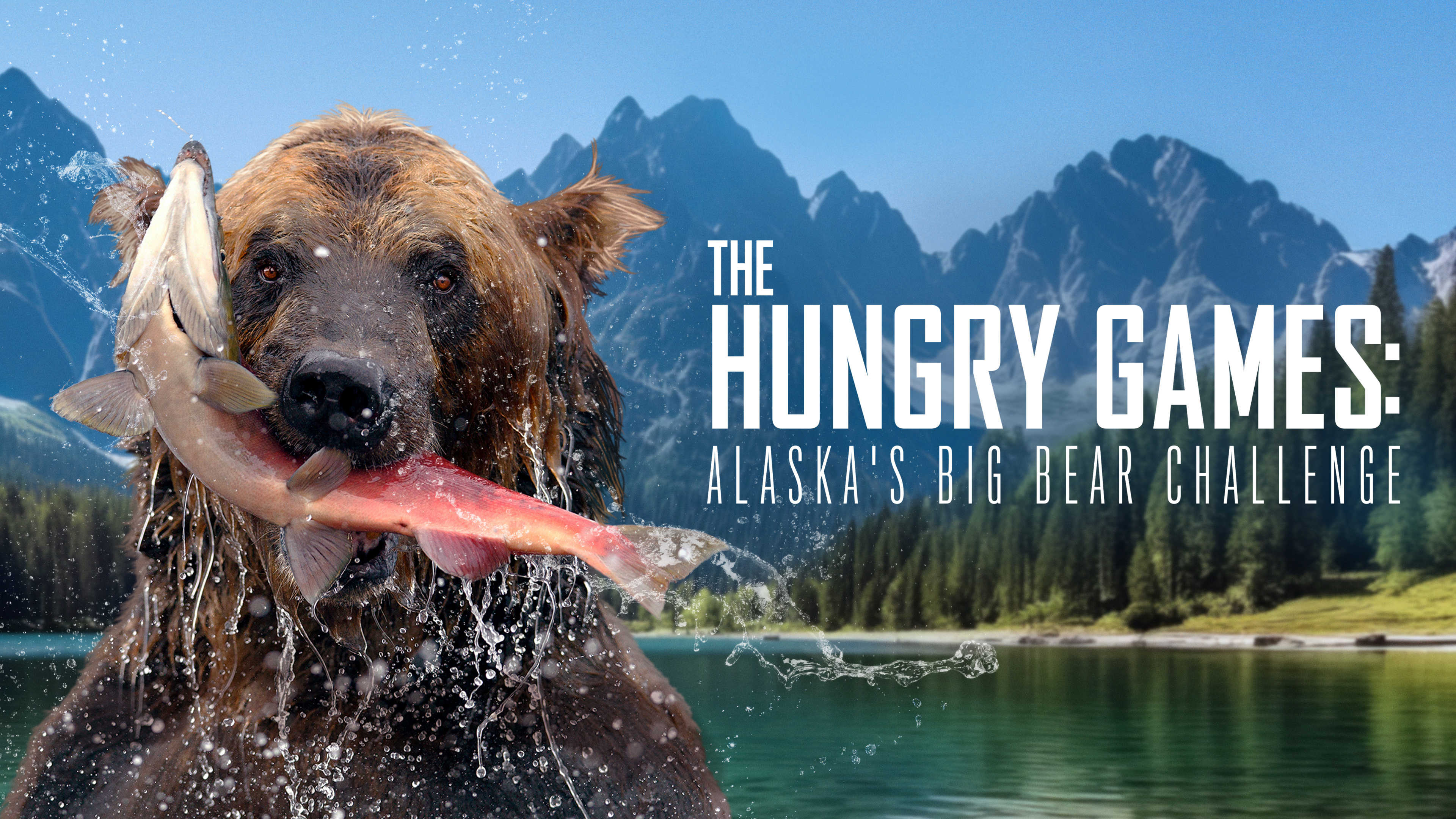 Hungry Games: Alaska's Big Bear Challenge