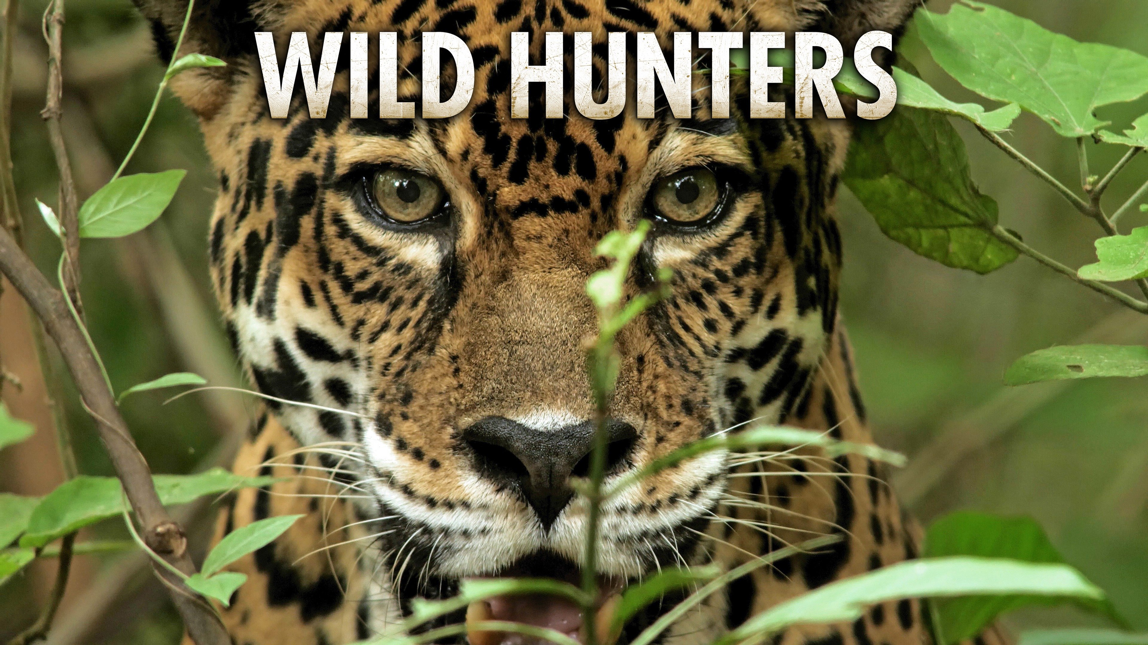 Wild Hunters