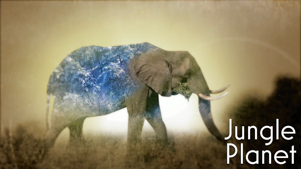 Jungle Planet