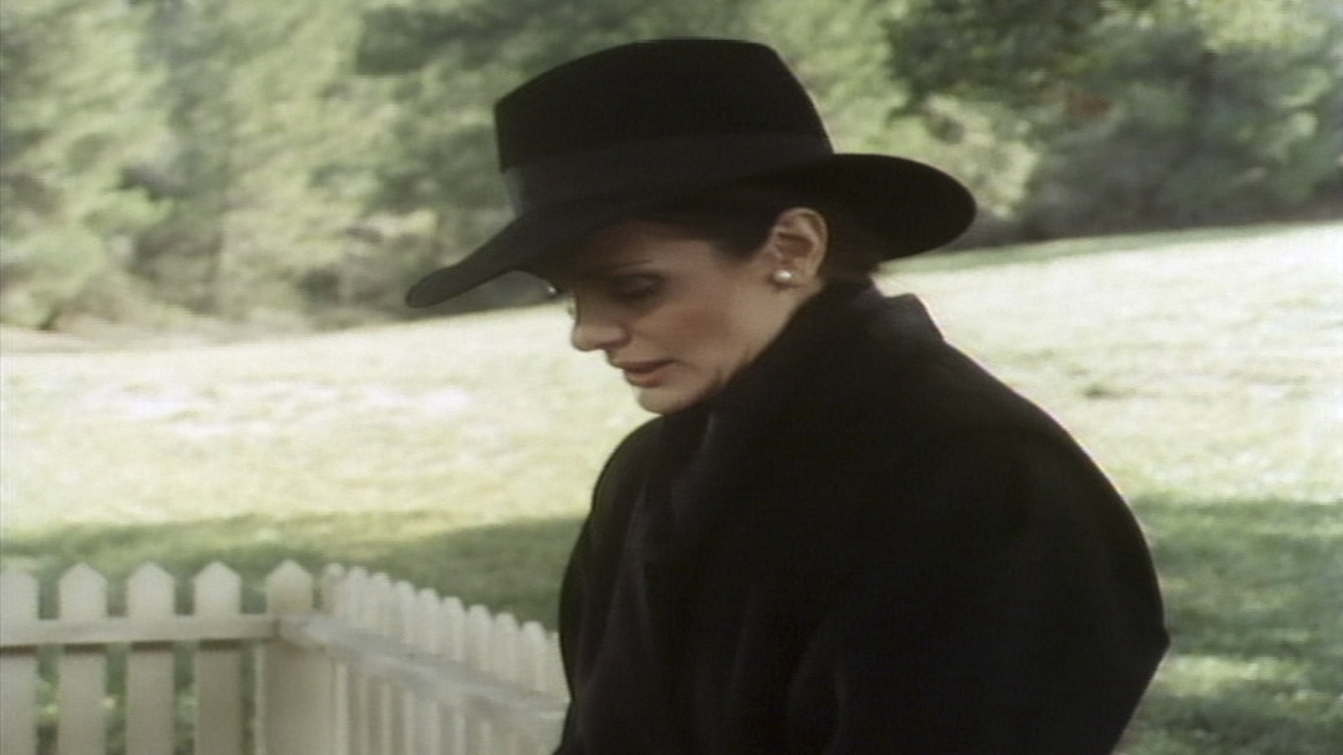 Falcon Crest