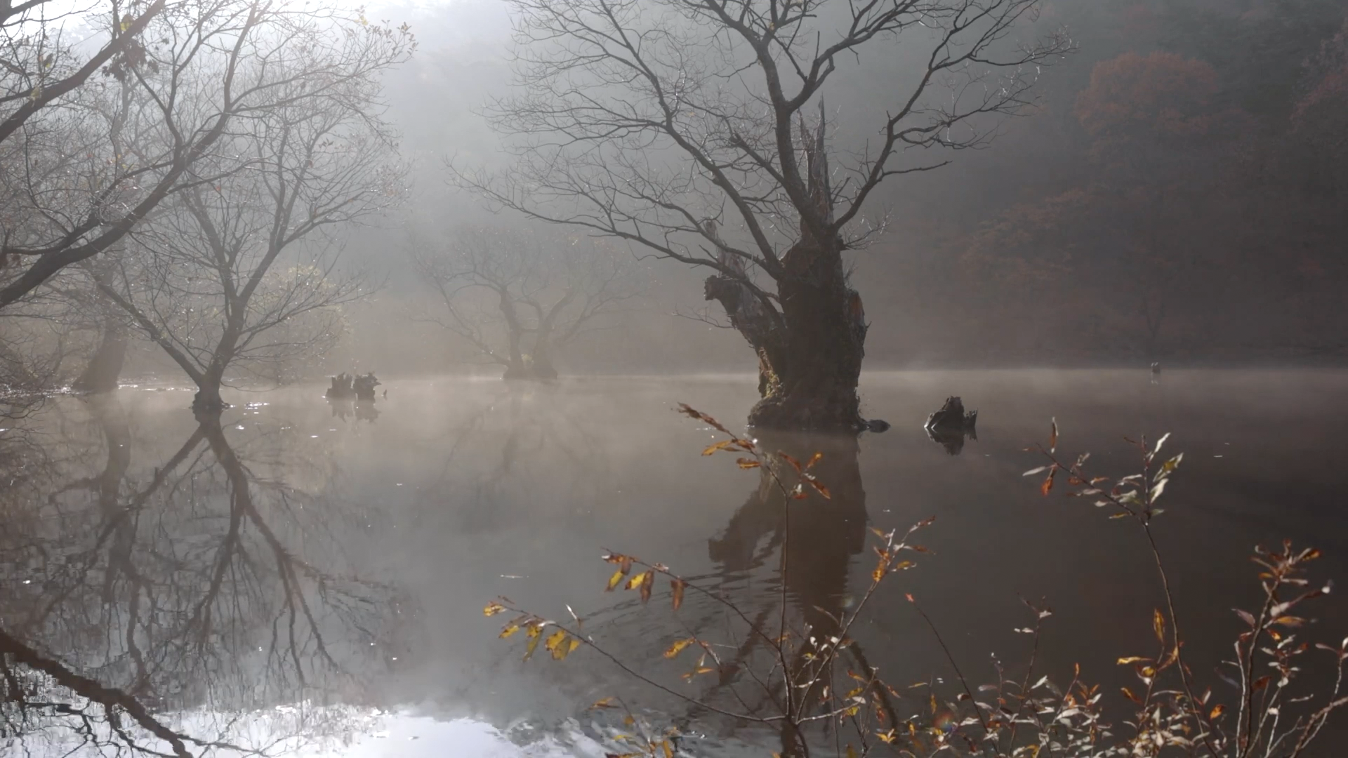 [신비롭고 아름다운 비경] 청송 주산지 EP.4