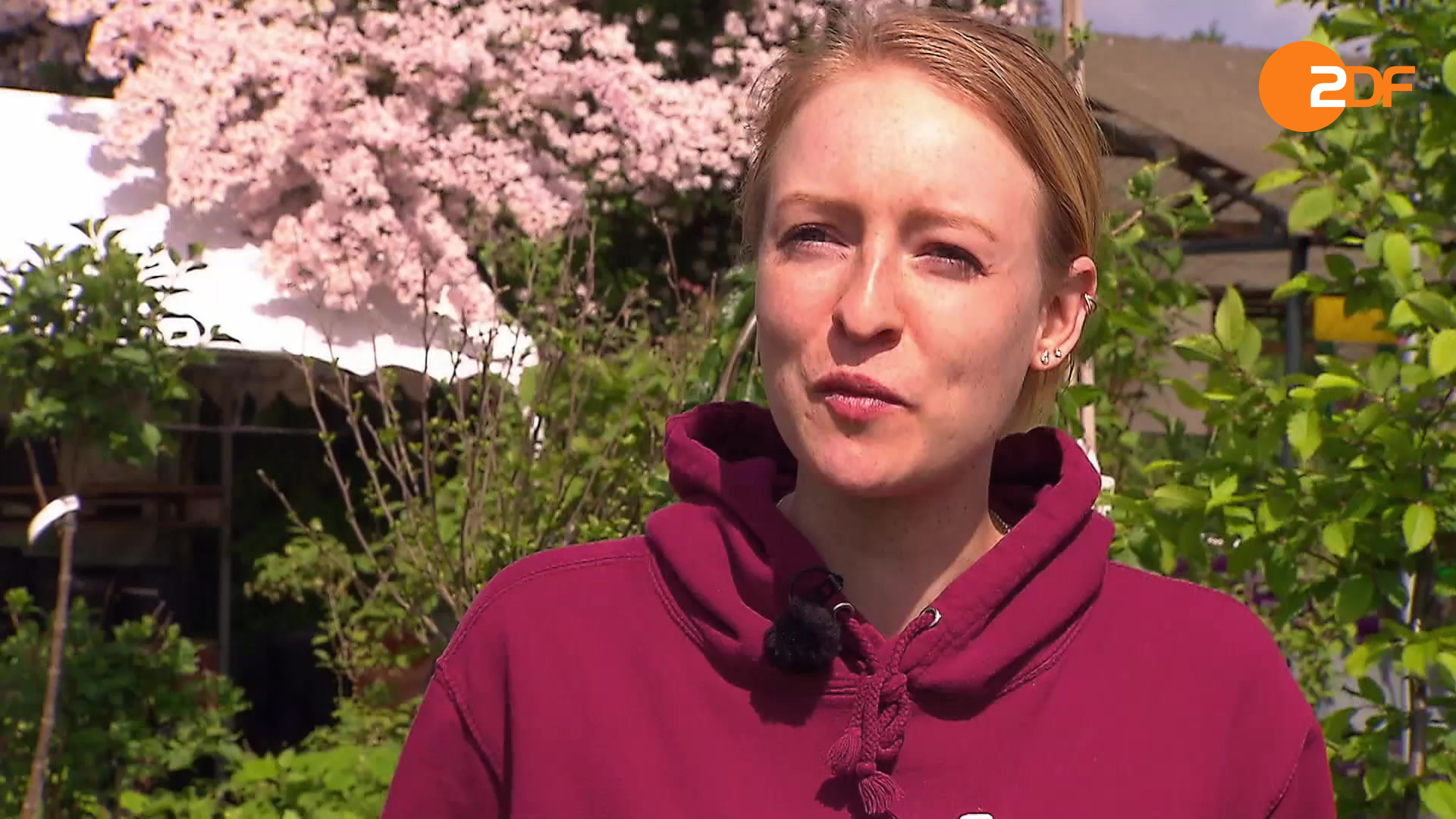 Duell der Gartenprofis, Staffel 6