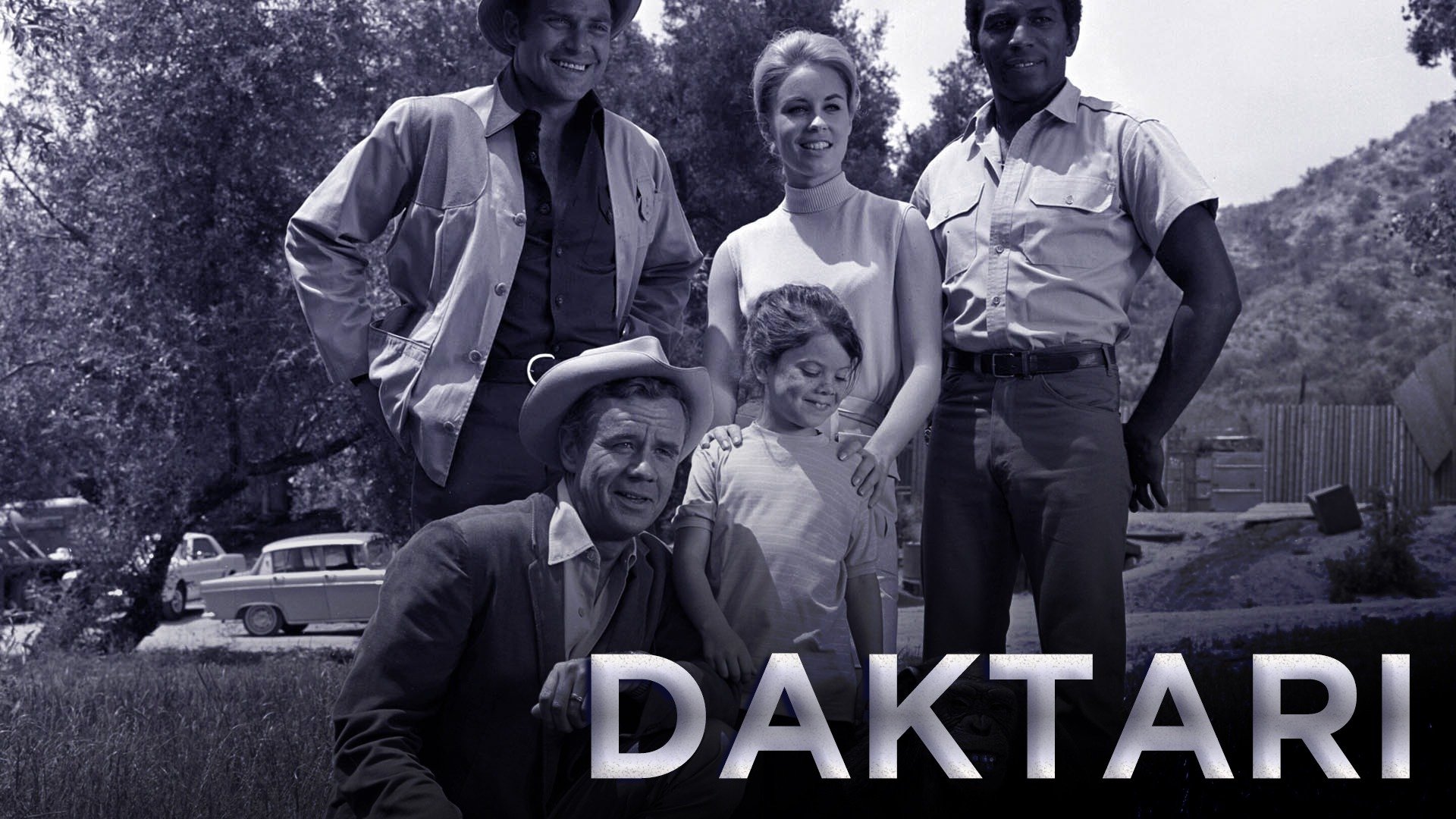 Daktari
