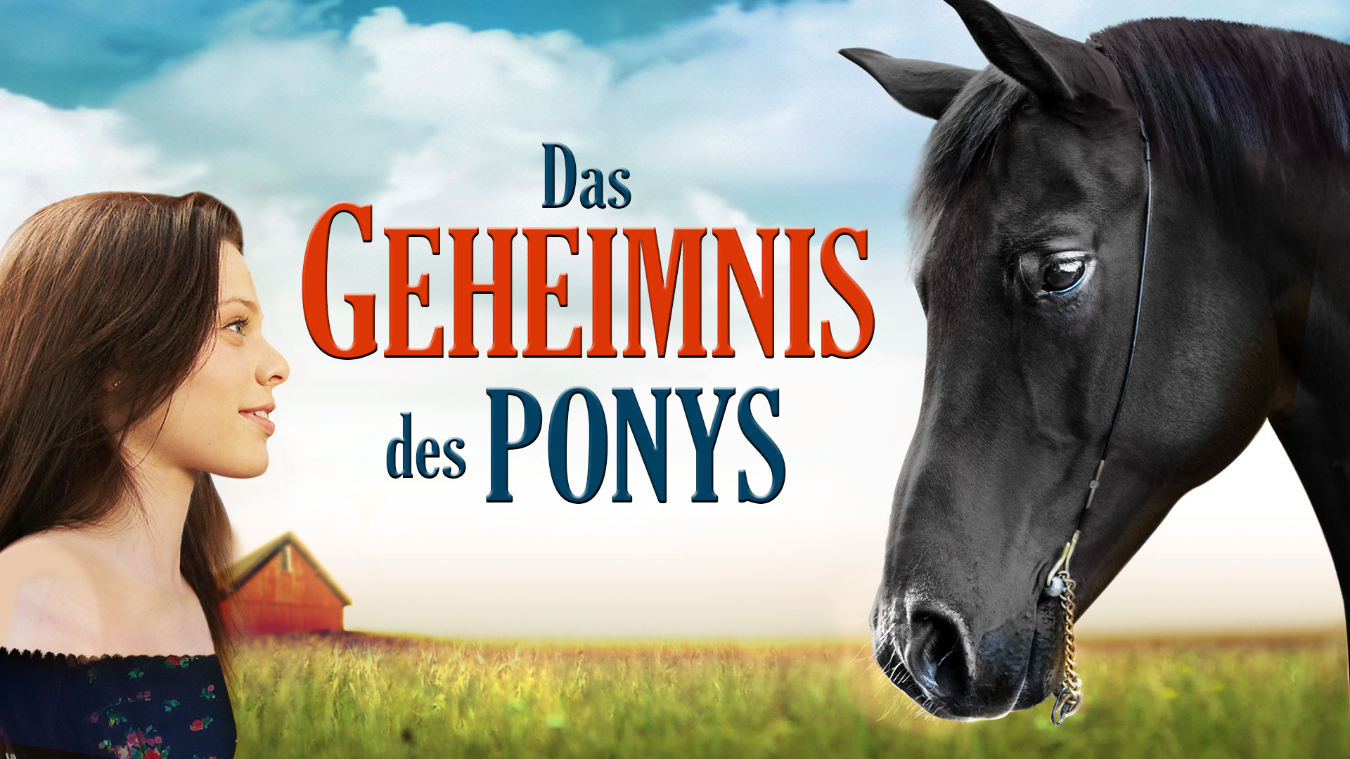 Das Geheimnis des Ponys