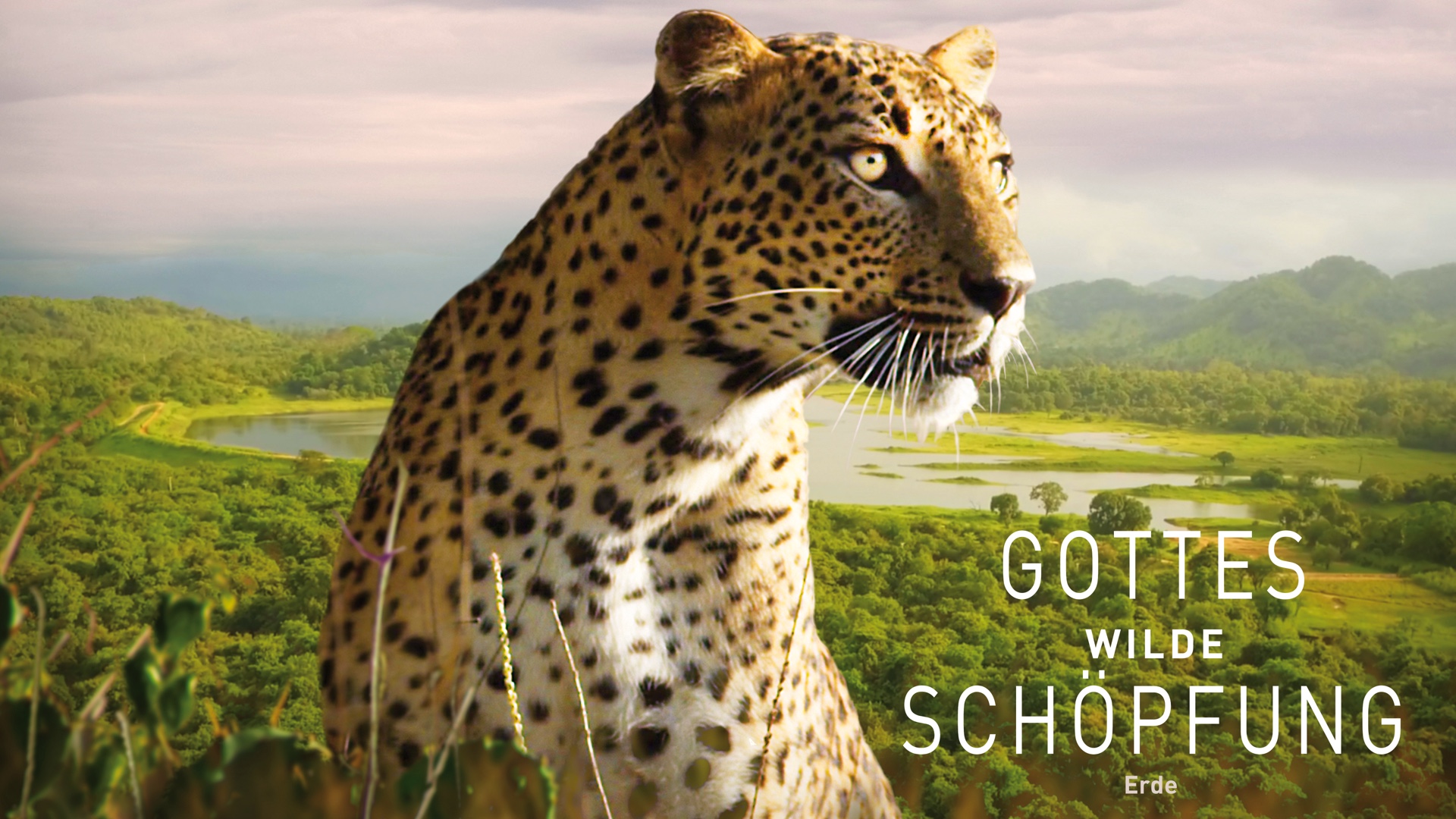 Gottes wilde Schöpfung: Erde