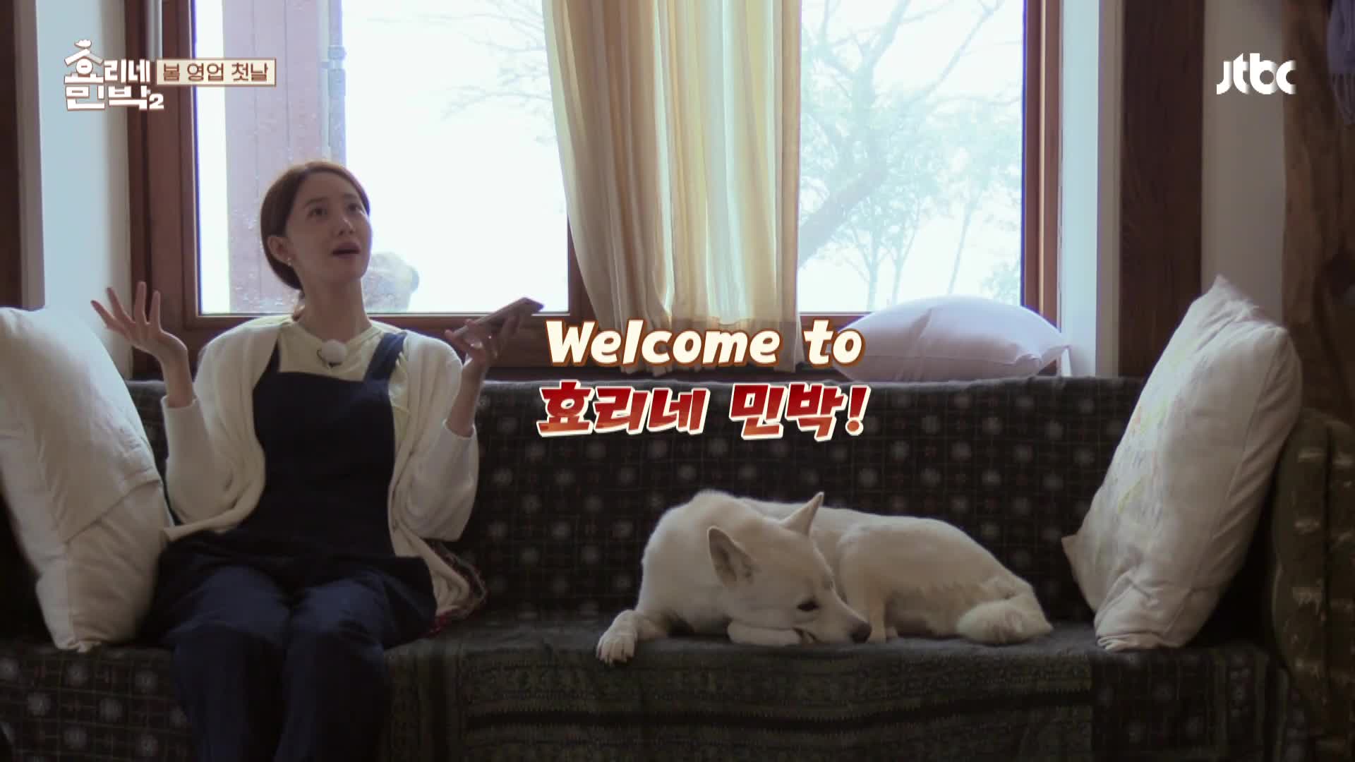 효리네 민박2 12회