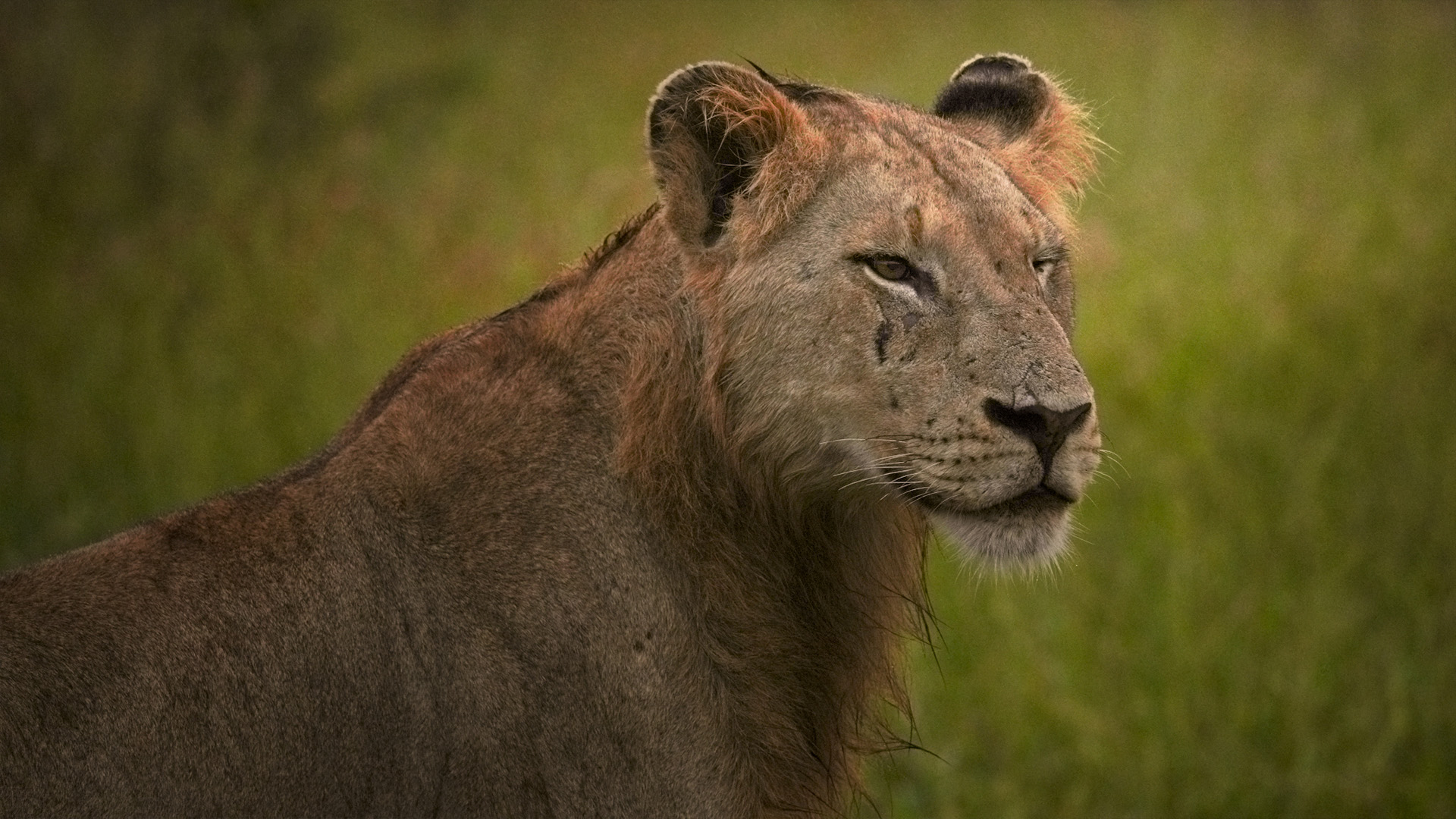 Roadtrip durch den Süden Afrikas Teil 2