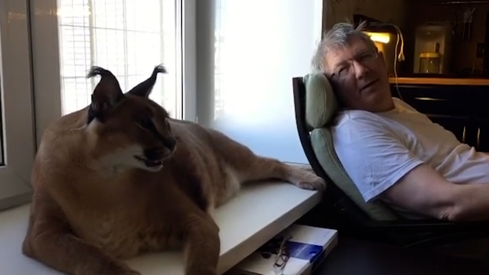 Best Pets of the Month