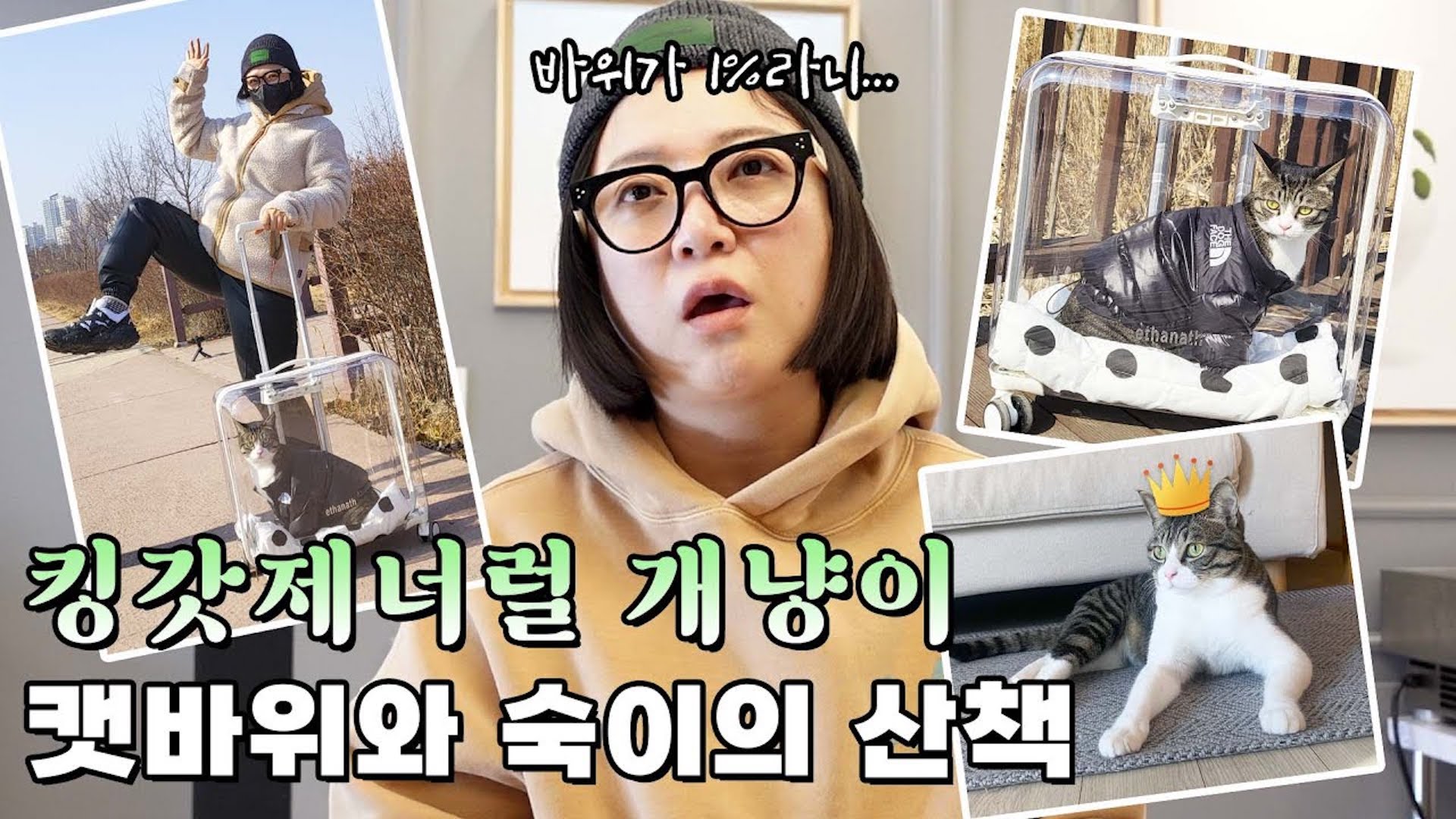 1% 개냥이 🐱바위와 숙집사의 특별한 외출🌳