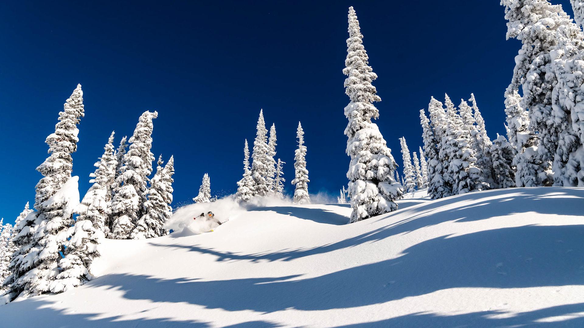 Warren Miller's Daymaker