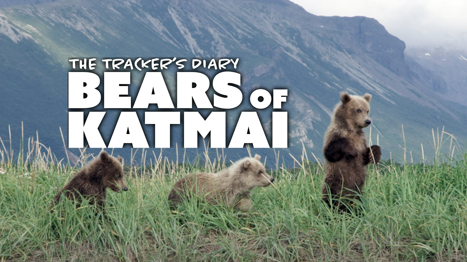 El lobo y la tormenta